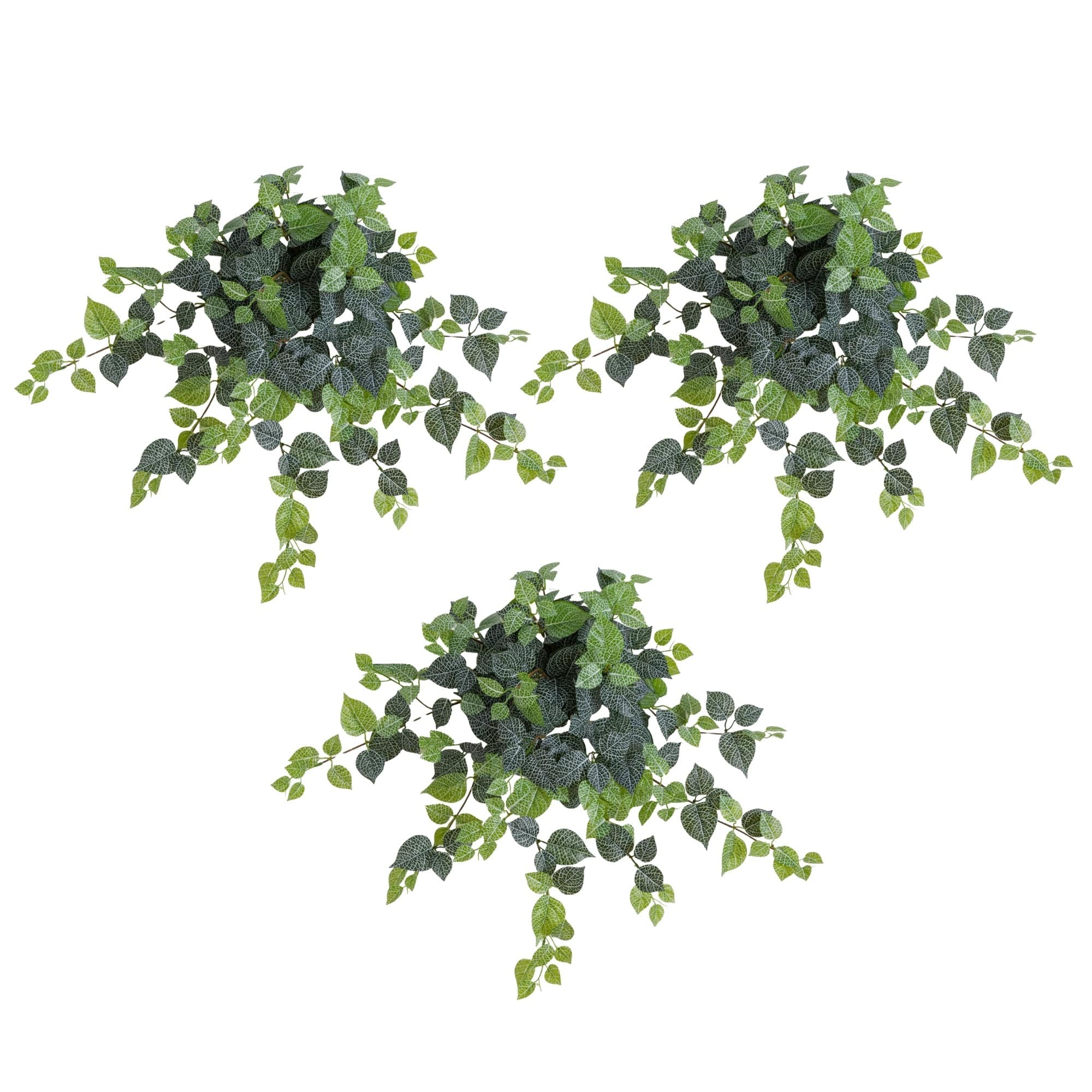 24" UV Resistant Artificial Fittonia Hanging Plant (Indoor/Outdoor) - Set of 3