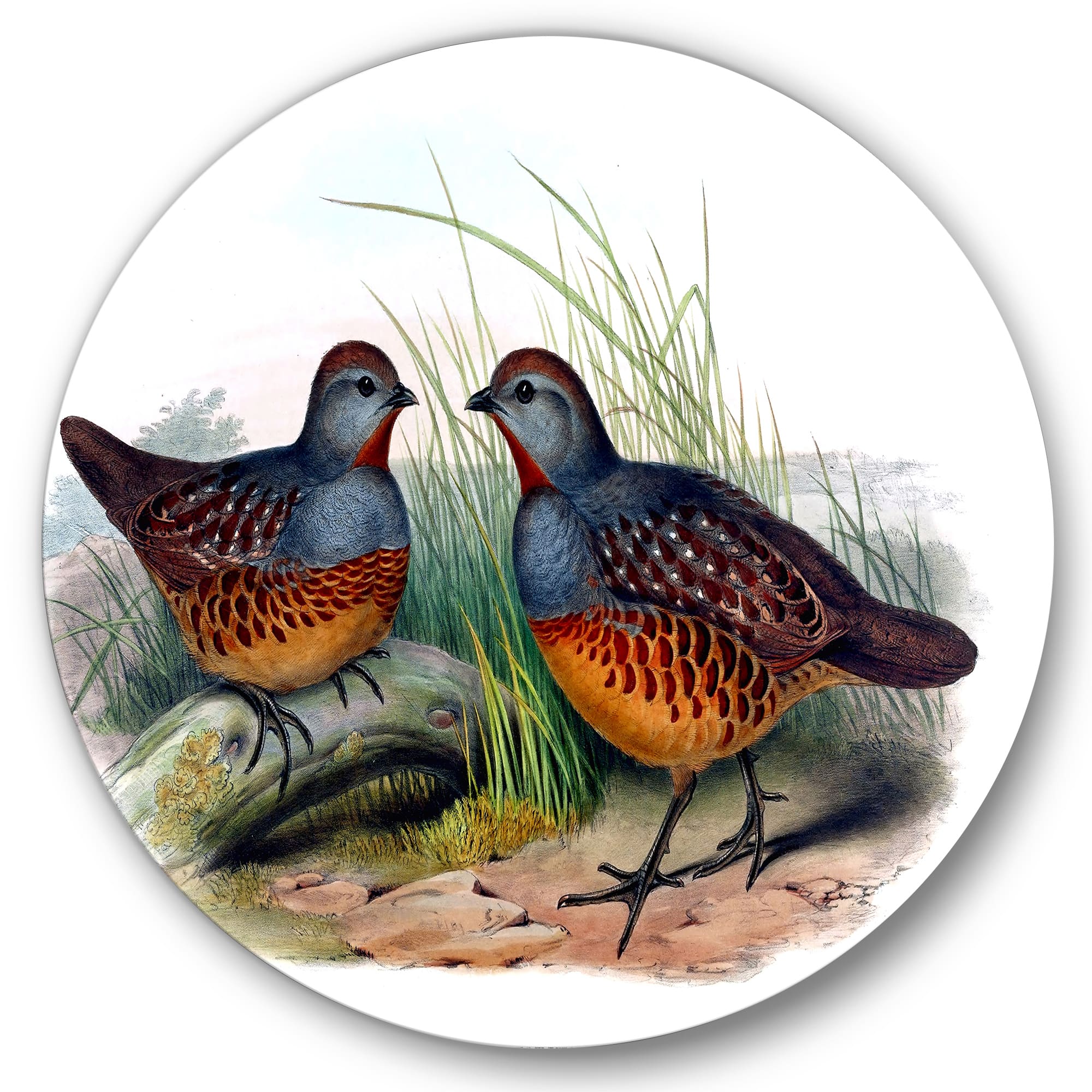 Designart - Vintage Birds In The Wild VII - Traditional Metal Circle Wall Art