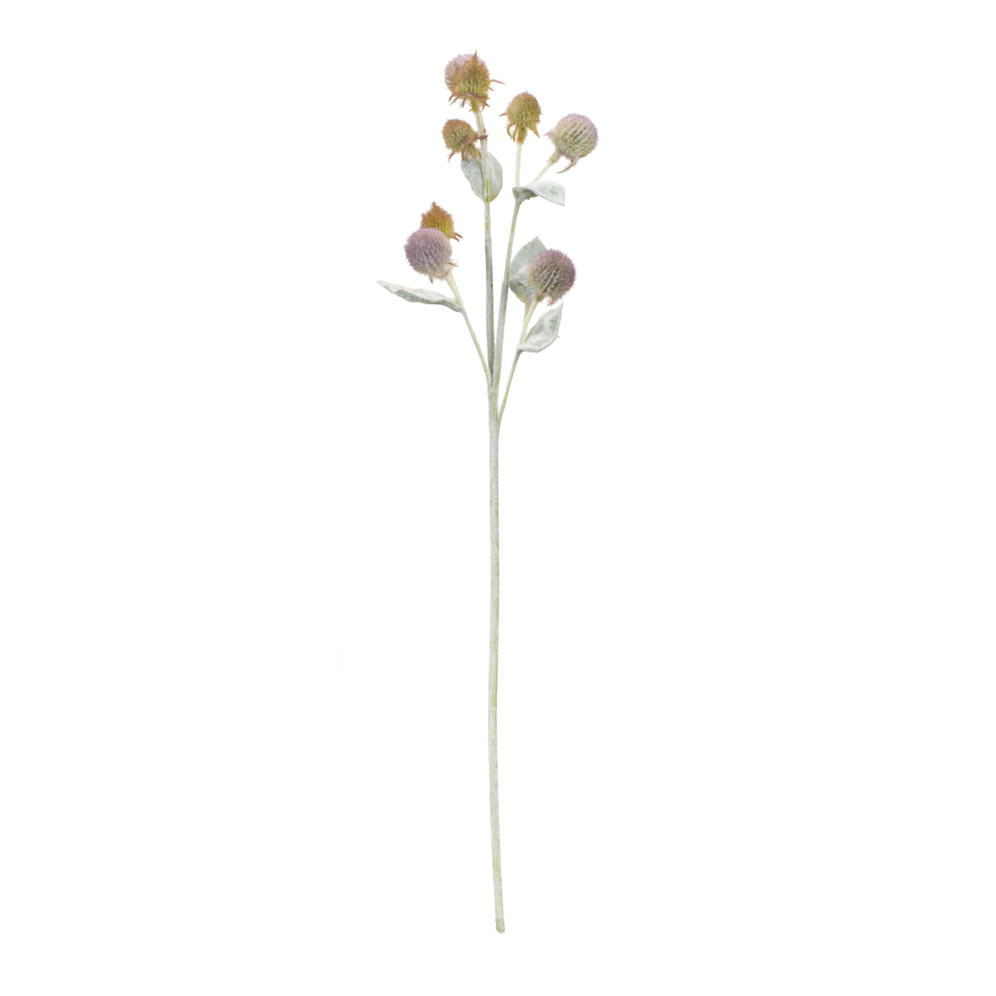 27.5" Thistle Foliage Sprays, 6ct.