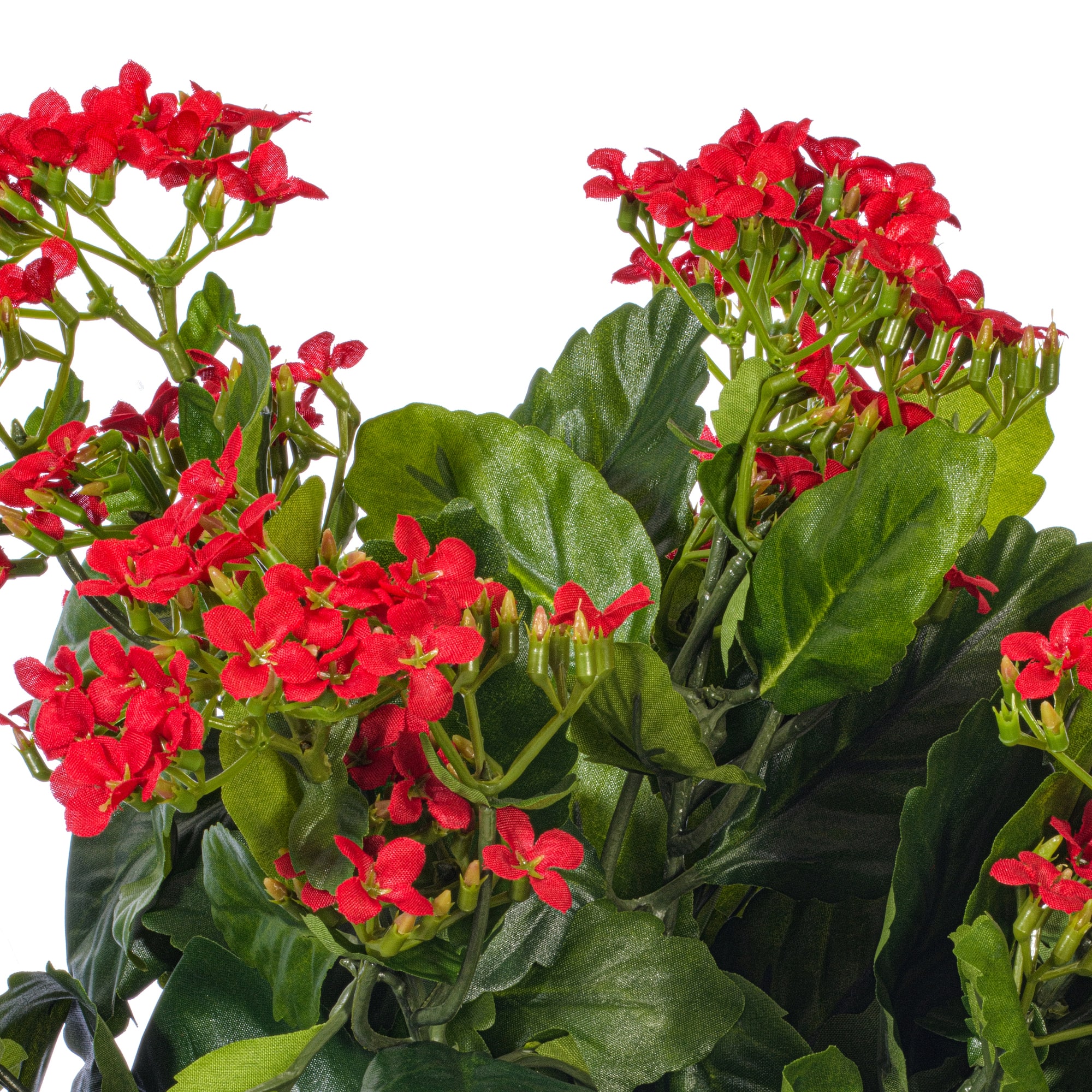 15" Red Artificial Kalanchoe Bush