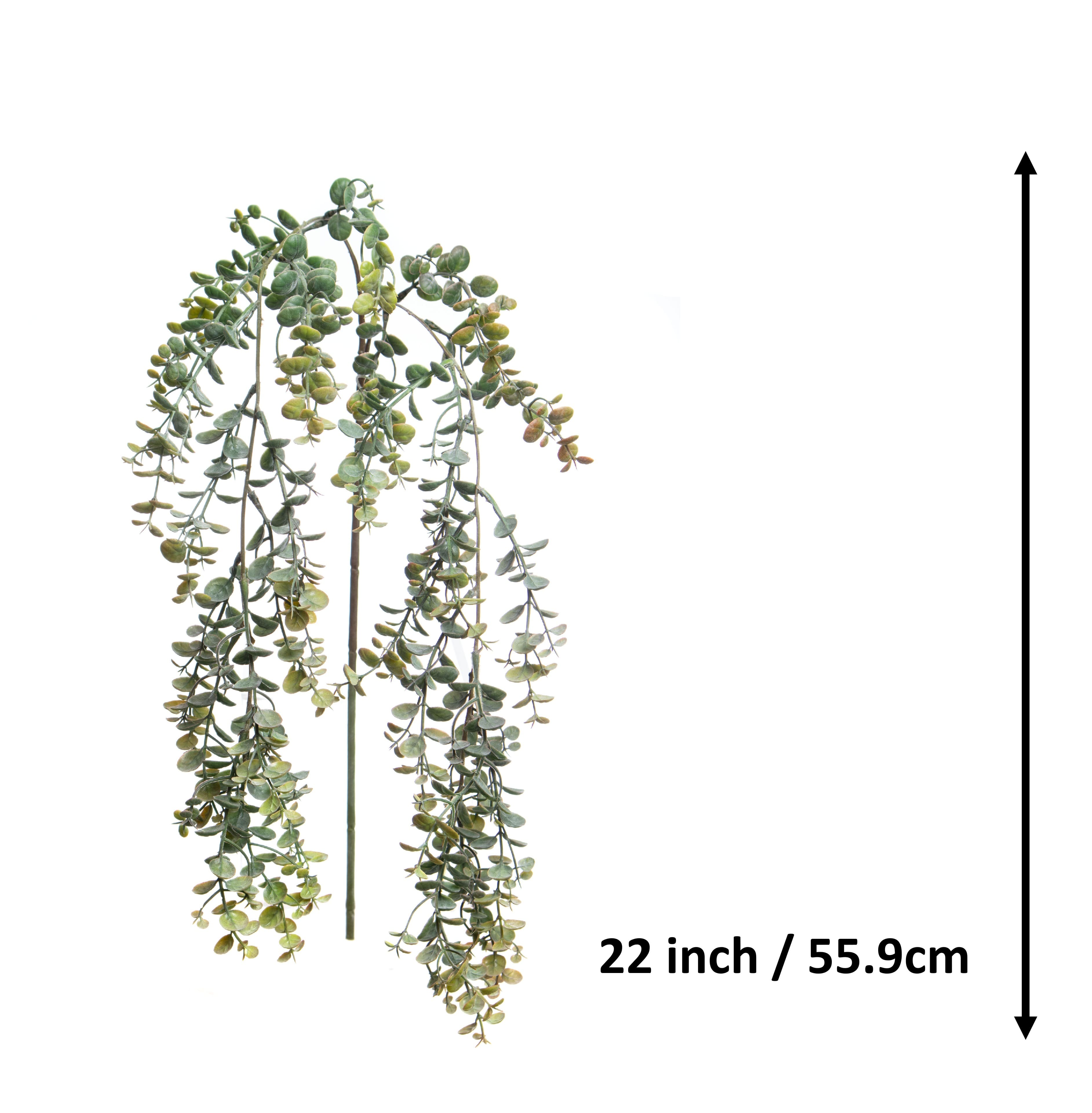 22" Green Hanging Eucalyptus by Ashland®