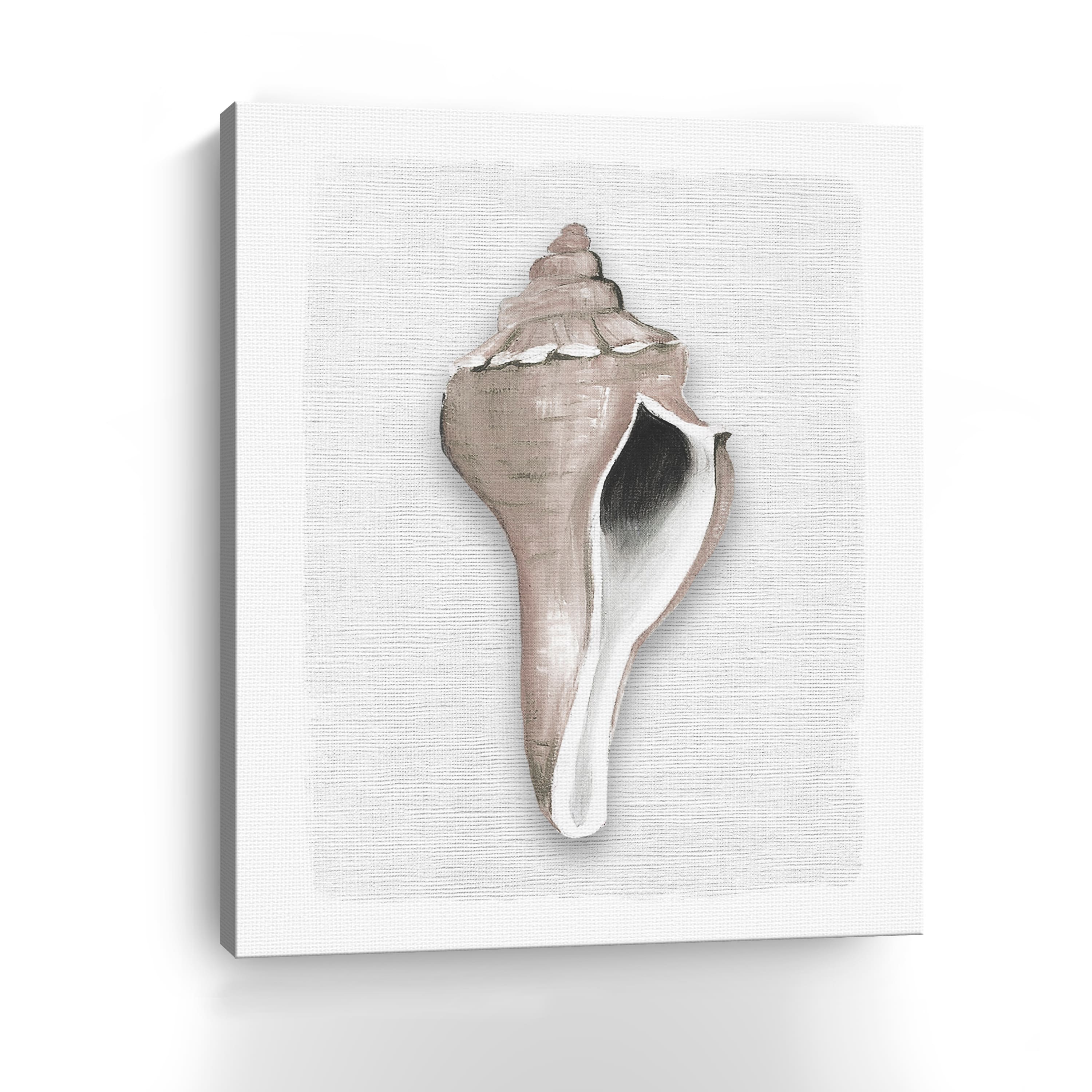Sea Front Shell II Canvas Giclee