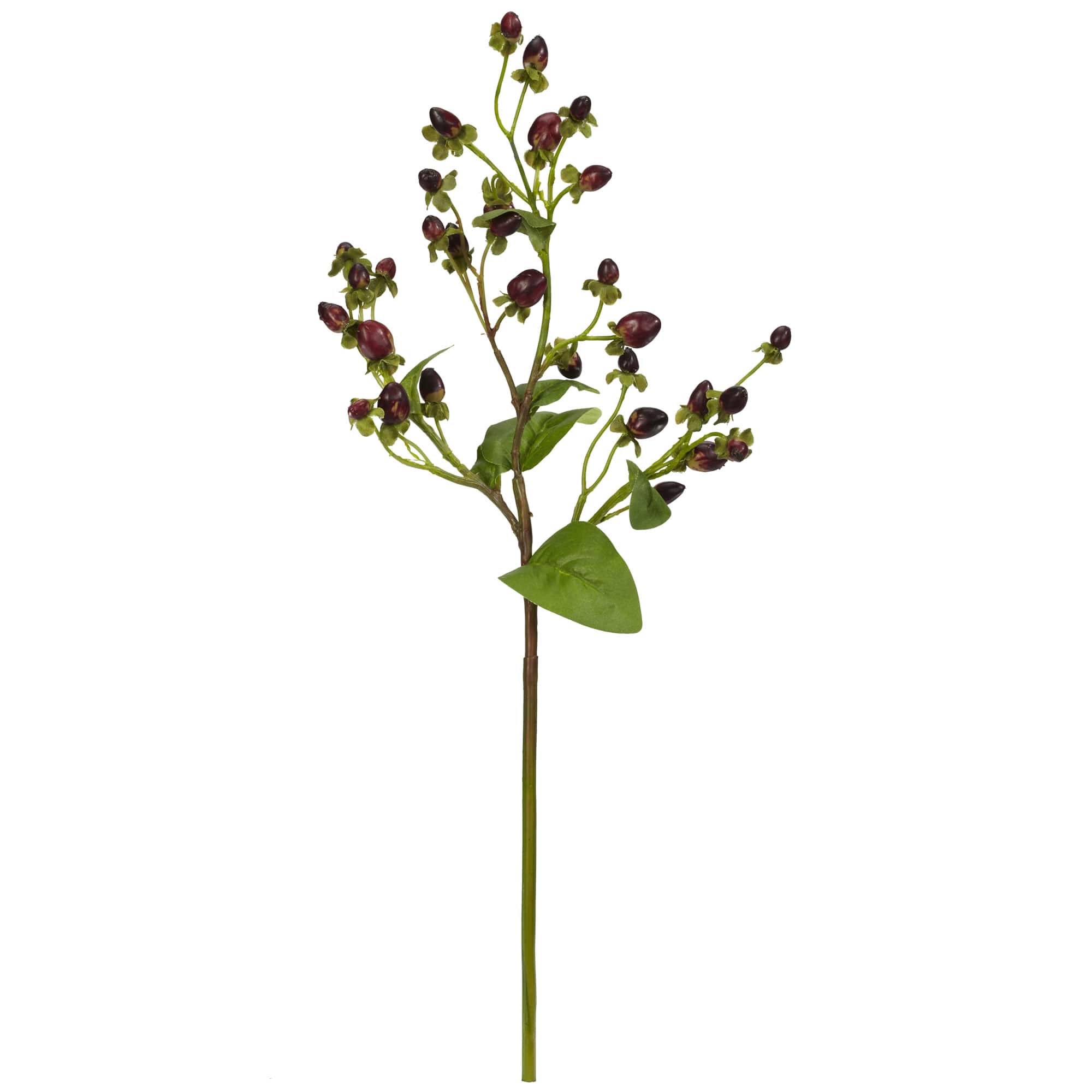 Italian Coffee Bean Spray, 8ct.