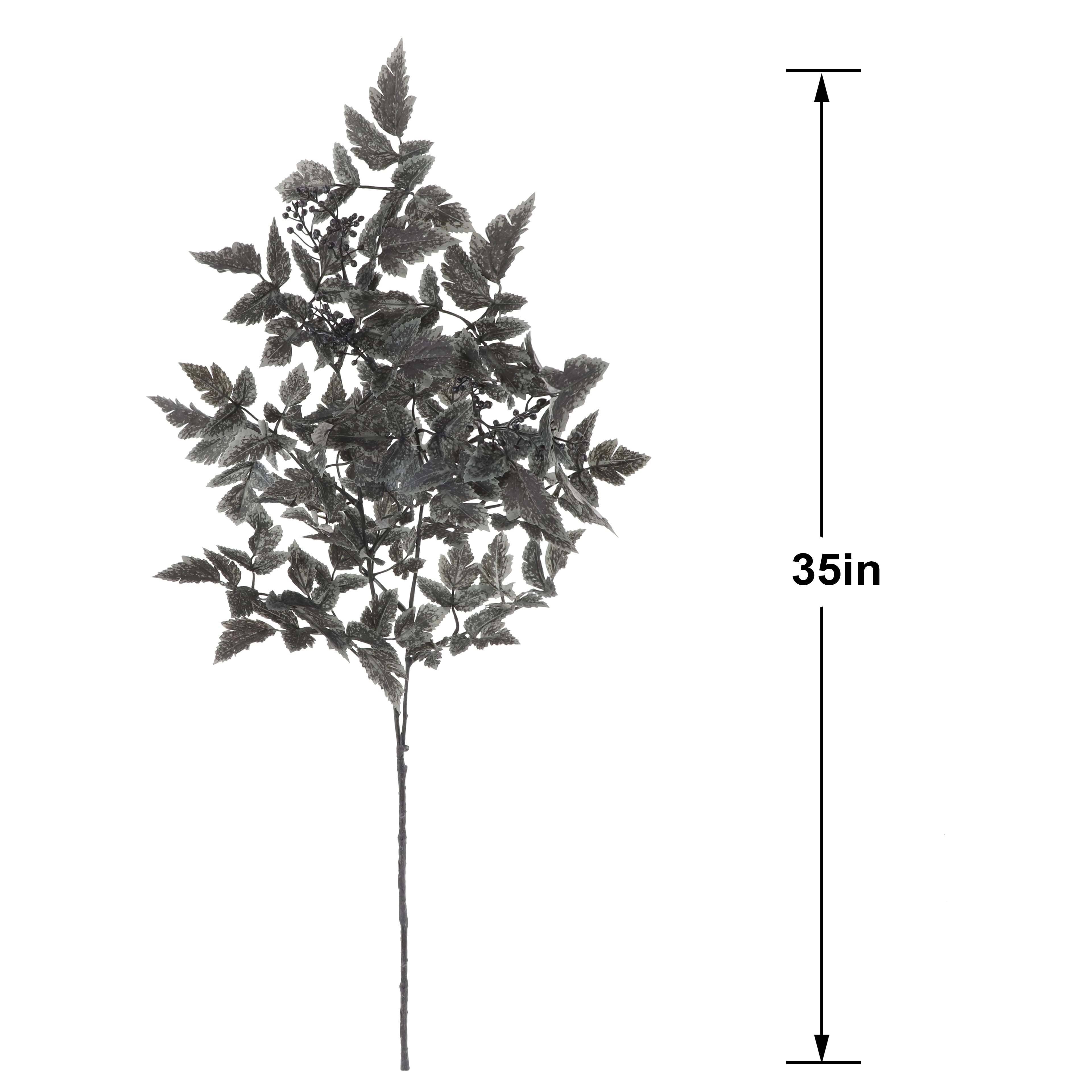 35" Black Cimicifuga Leaf Stem by Ashland®