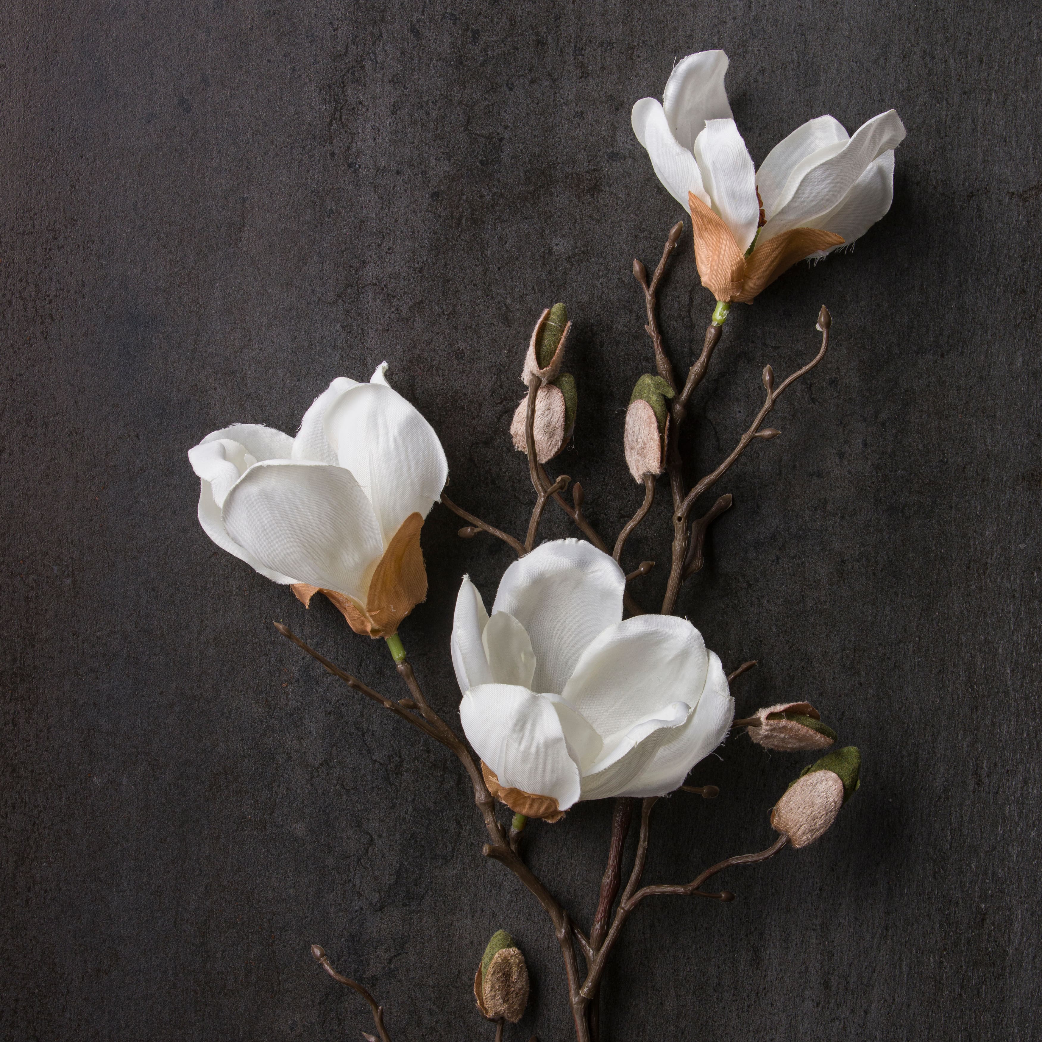 White Magnolia Branch Stem by Ashland®