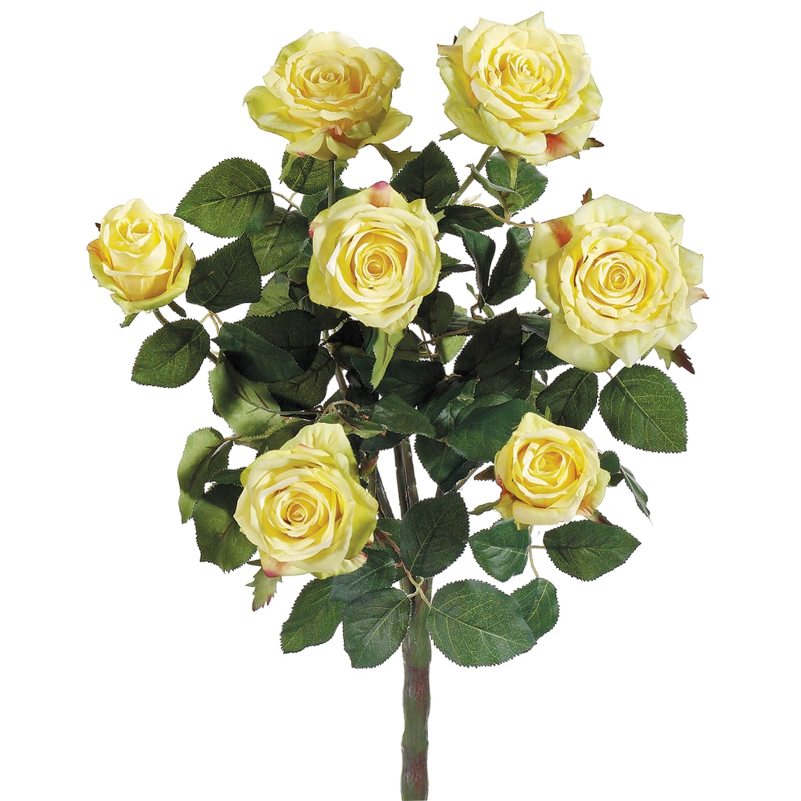 Yellow Confetti Rose Bush