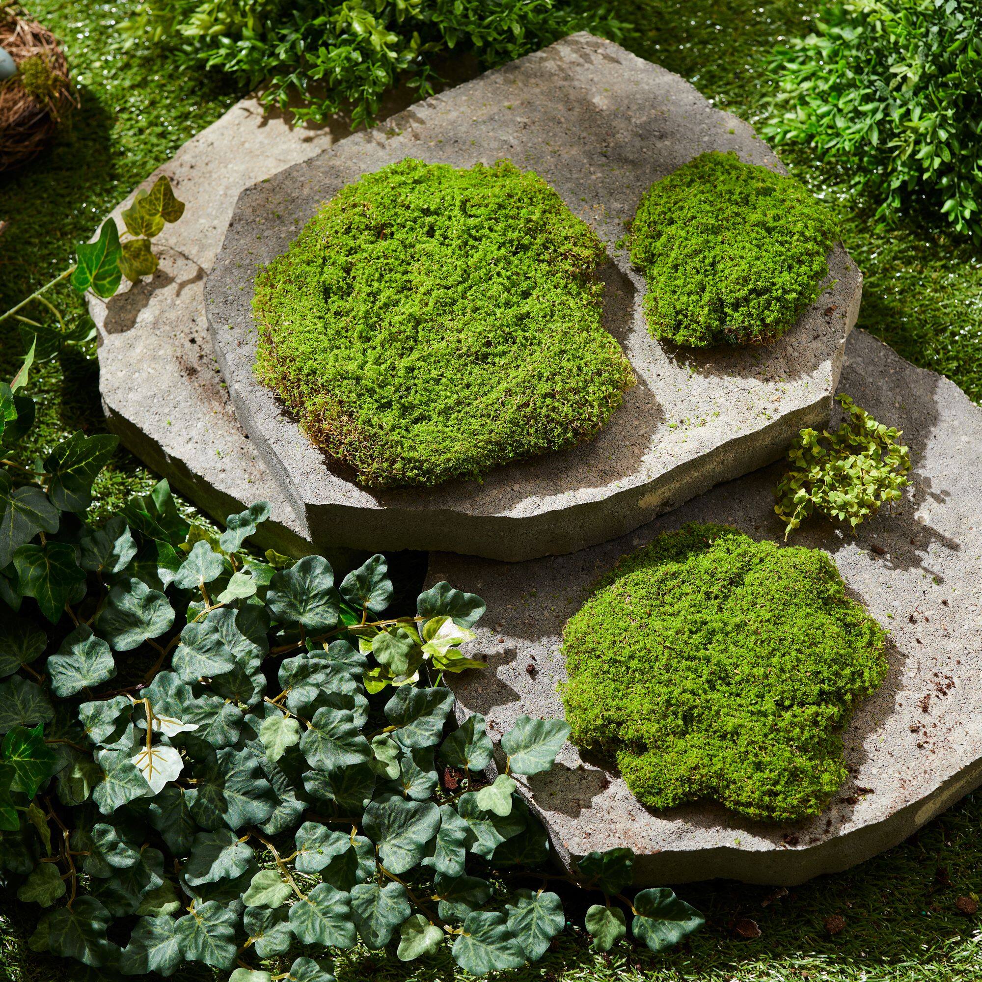 Green Faux Moss Pad Set