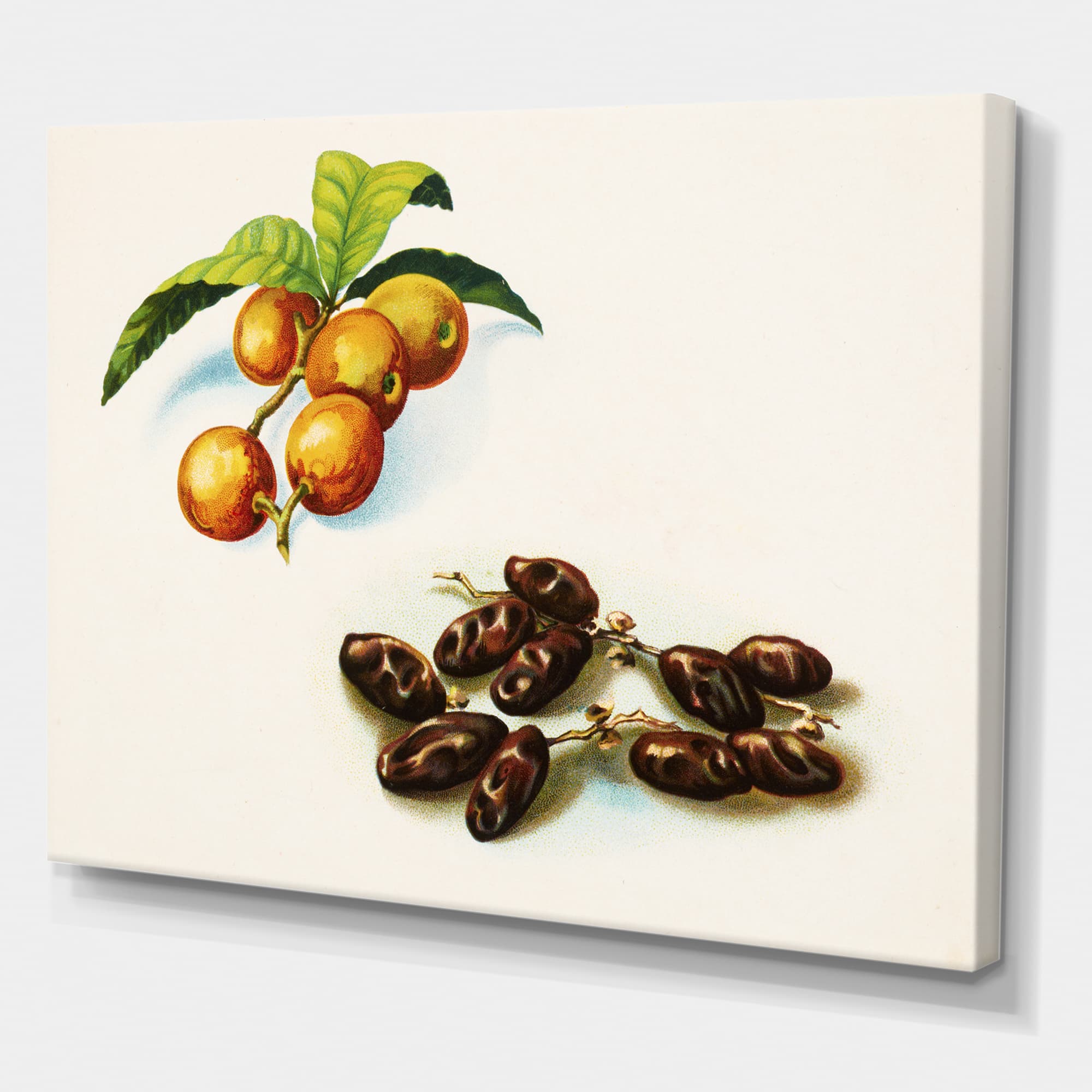 Designart - Vintage Fruits IV - Farmhouse Canvas Wall Art Print