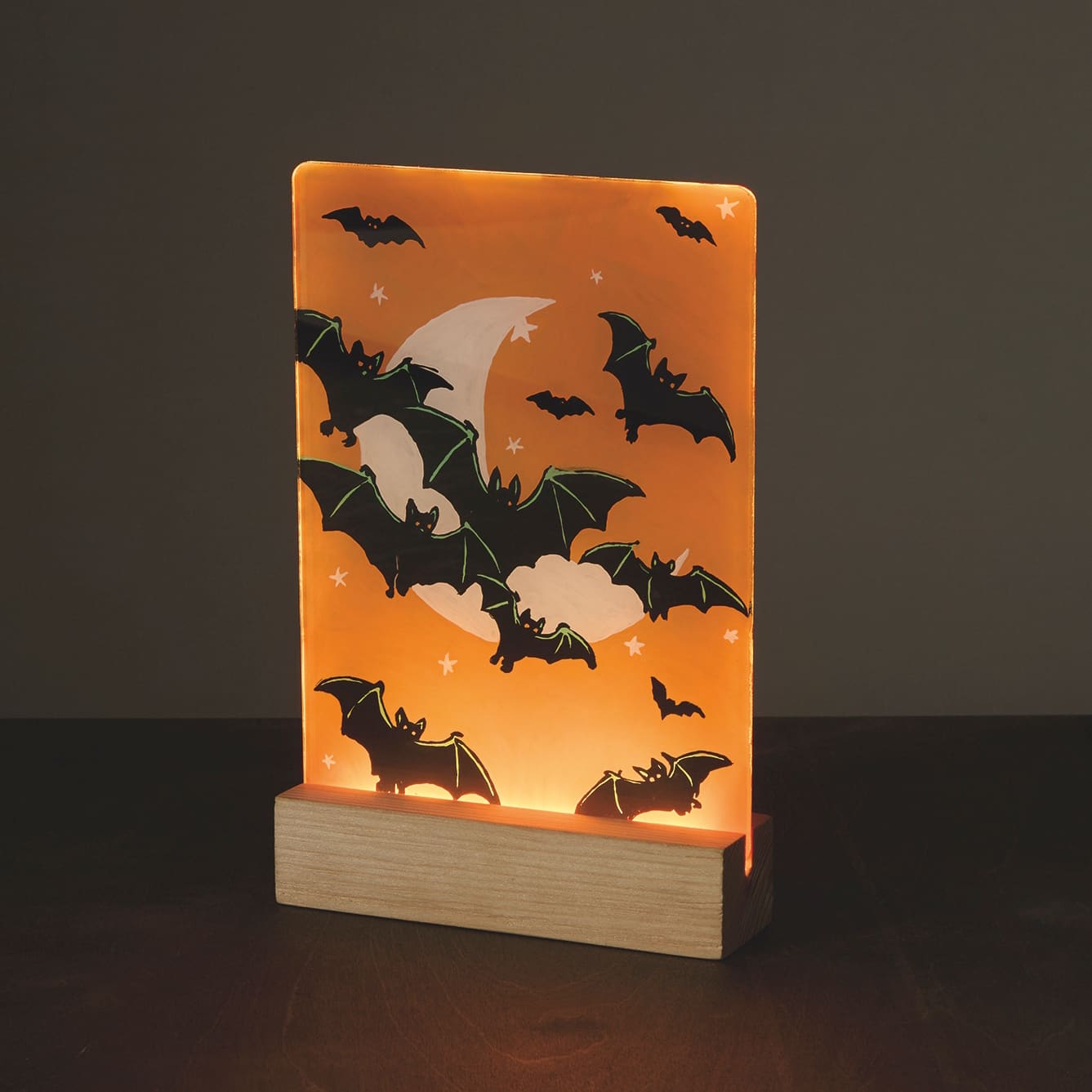Light Up Bats Paint-by-Number Acrylic Surface Kit by Artist's Loft®