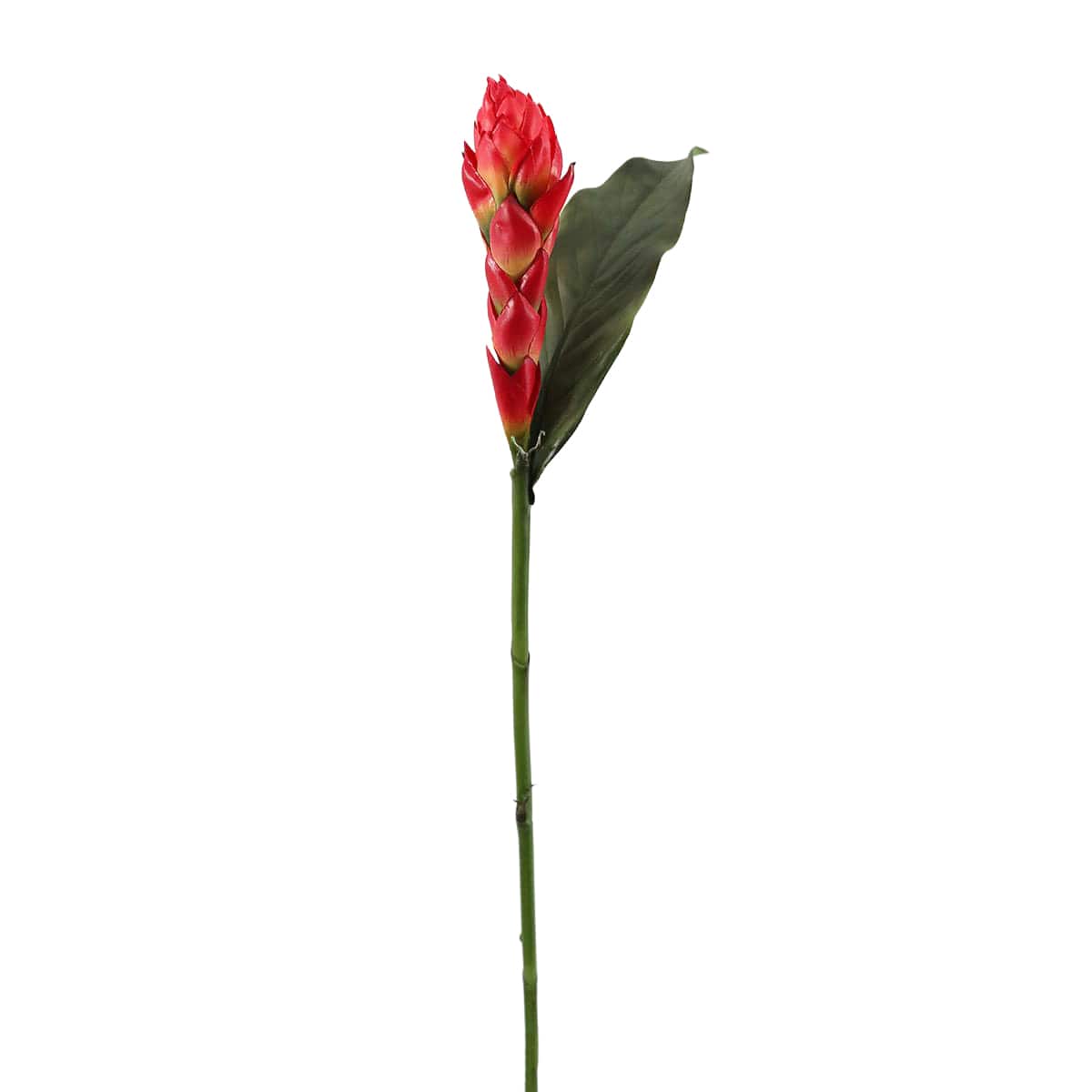 Prestige Botanicals 32" Red Faux Tropical Ginger Flower Stem