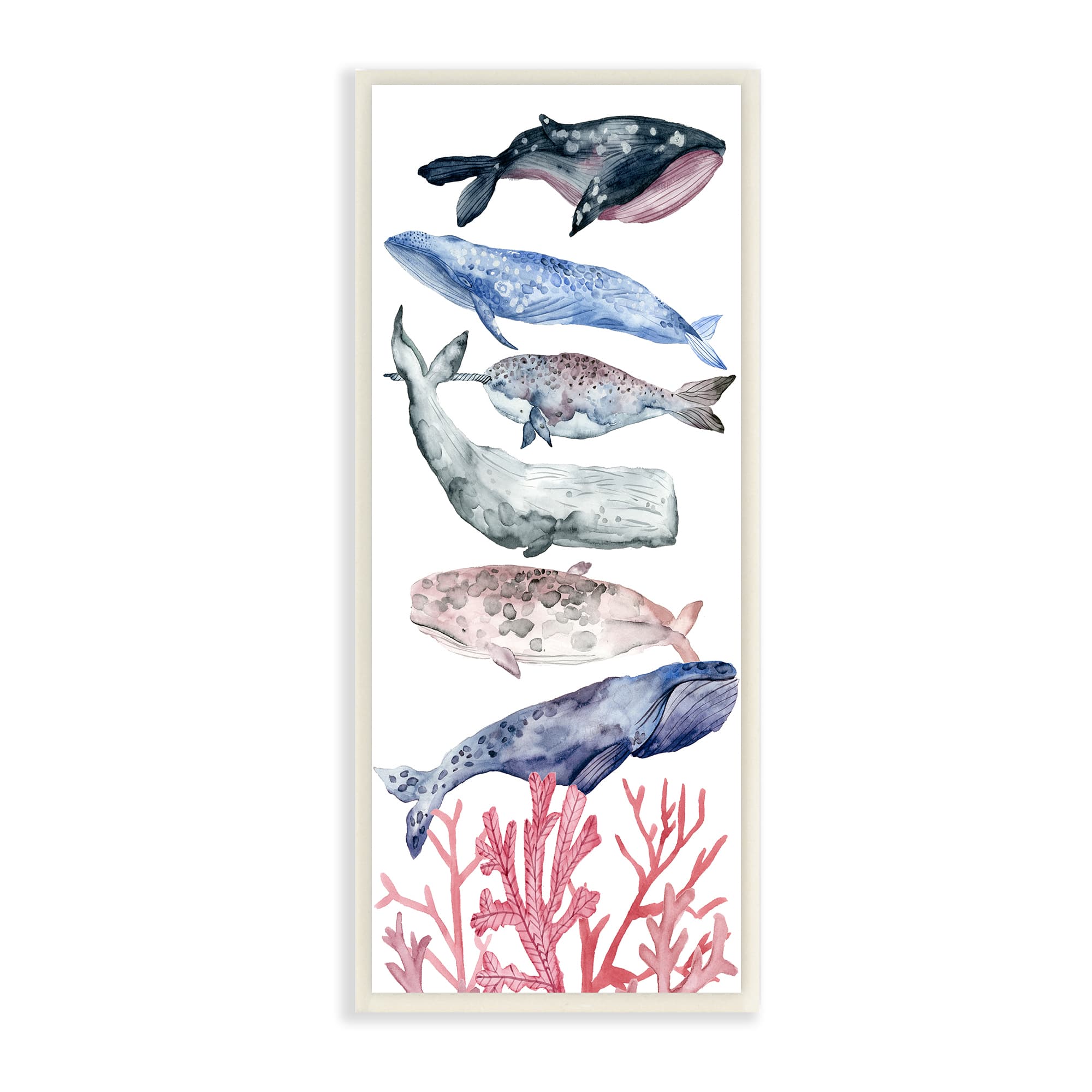 Stupell Industries Whale Wildlife Ocean Coral Watercolor Illustrations, 7" x 17"