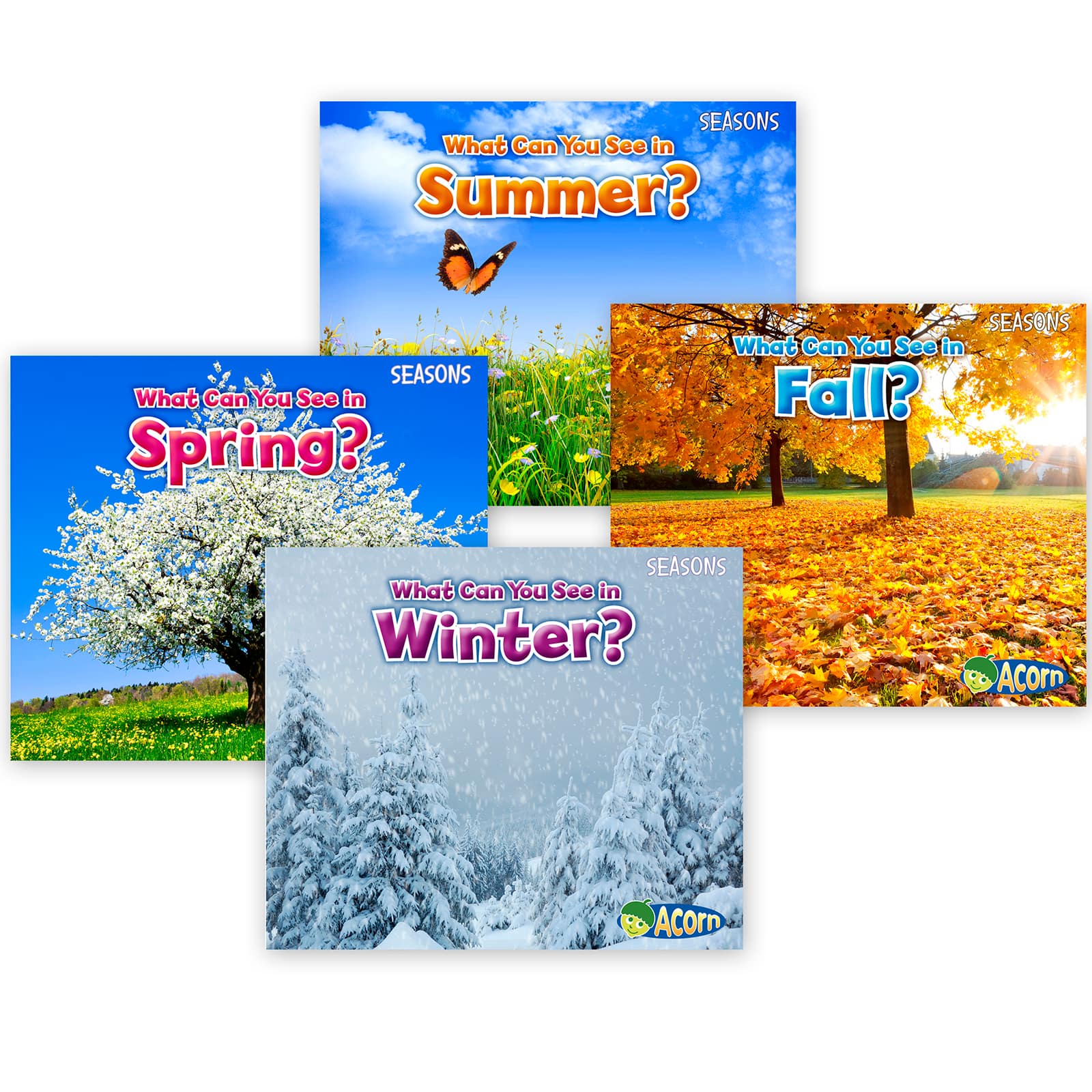 Capstone Press Seasons 4 Book Set