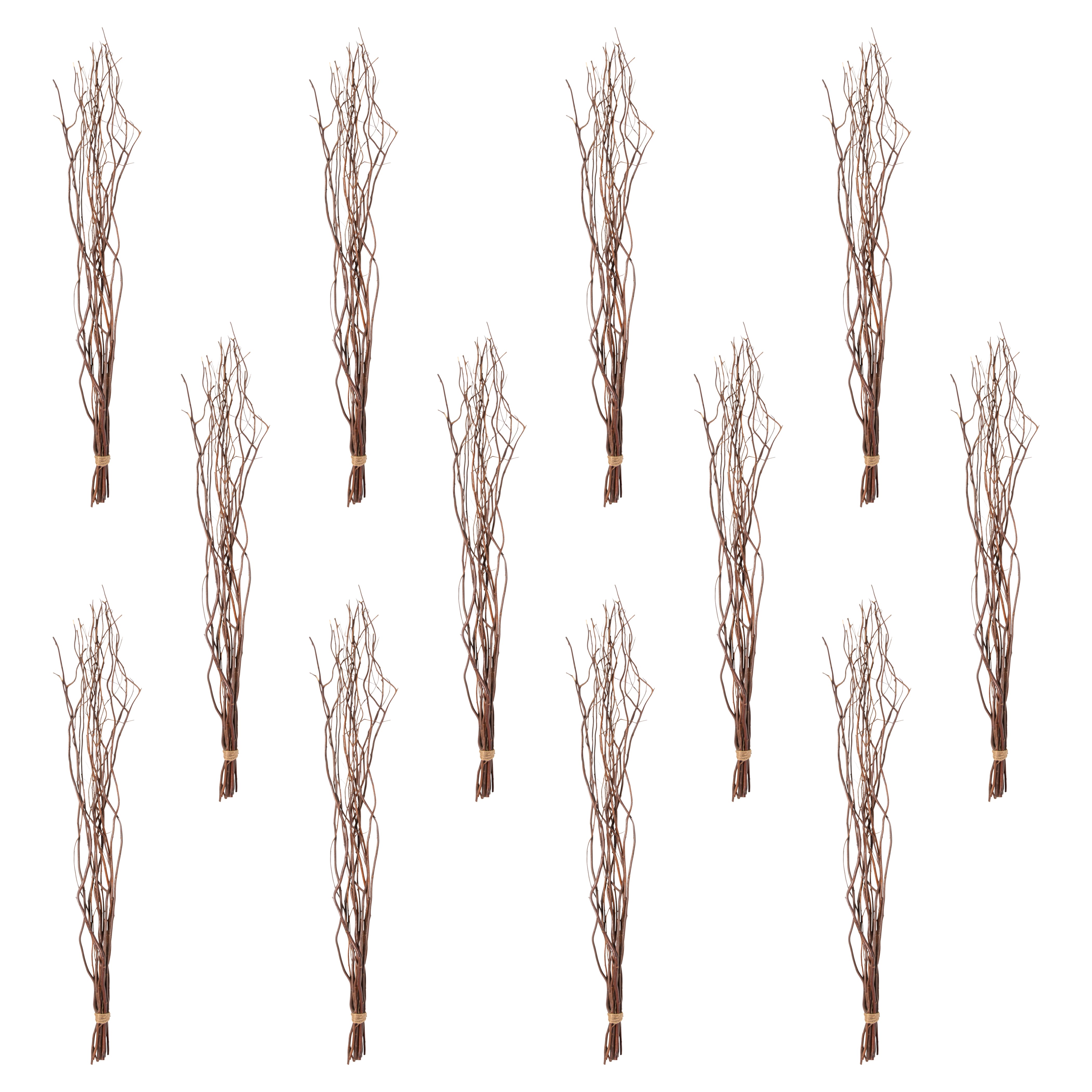 12 Pack: Natural Curly Willow by Ashland