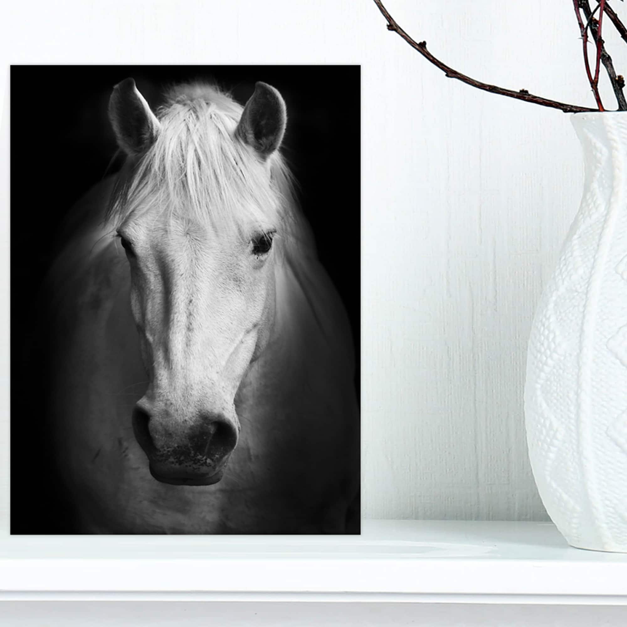 Designart - White Horse Black and White - Animal Canvas Art Print