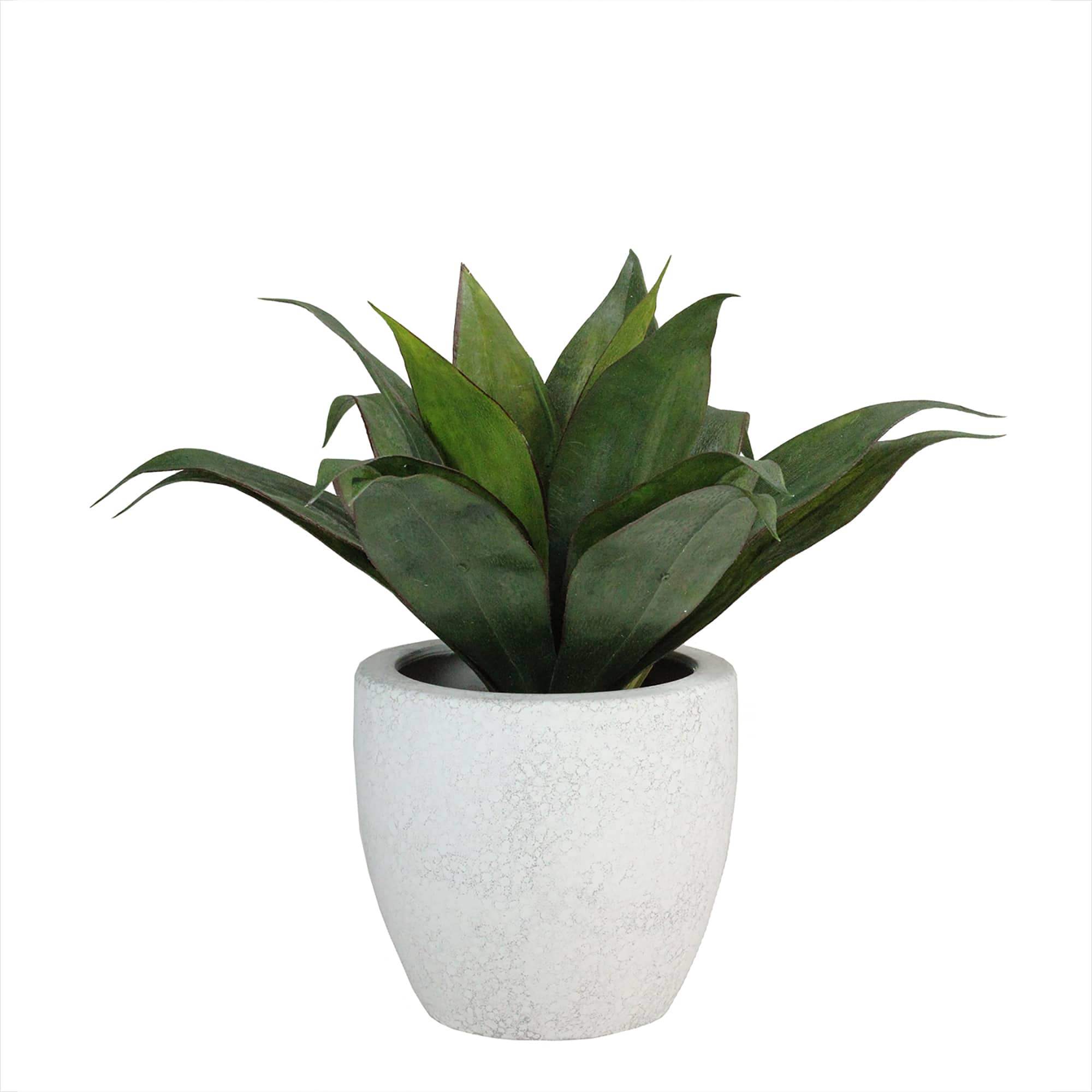 13" Green  Artificial Agave in Weathered White Ceramic Pot