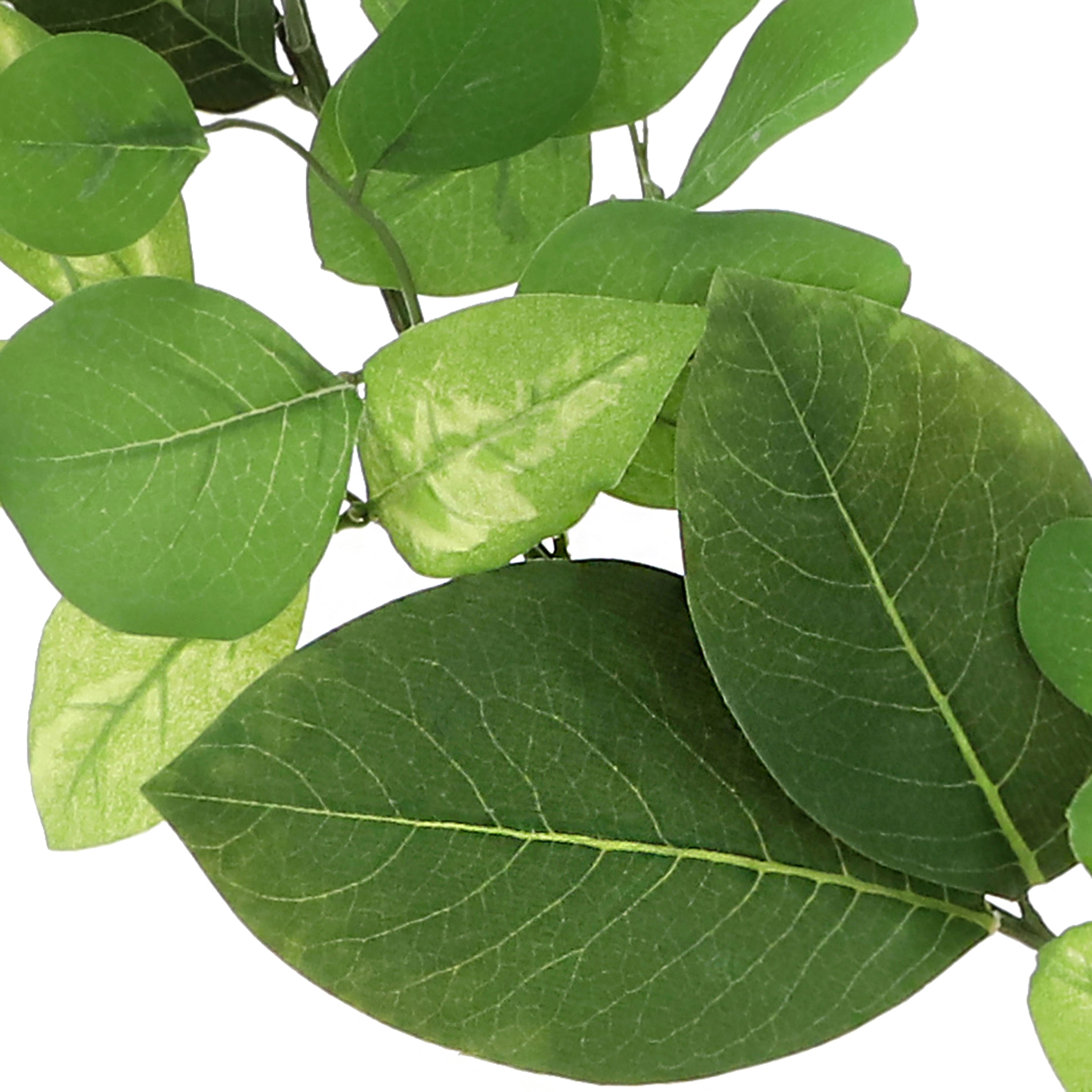 8 Pack: 6ft. Green Mixed Foliage Garland by Ashland®