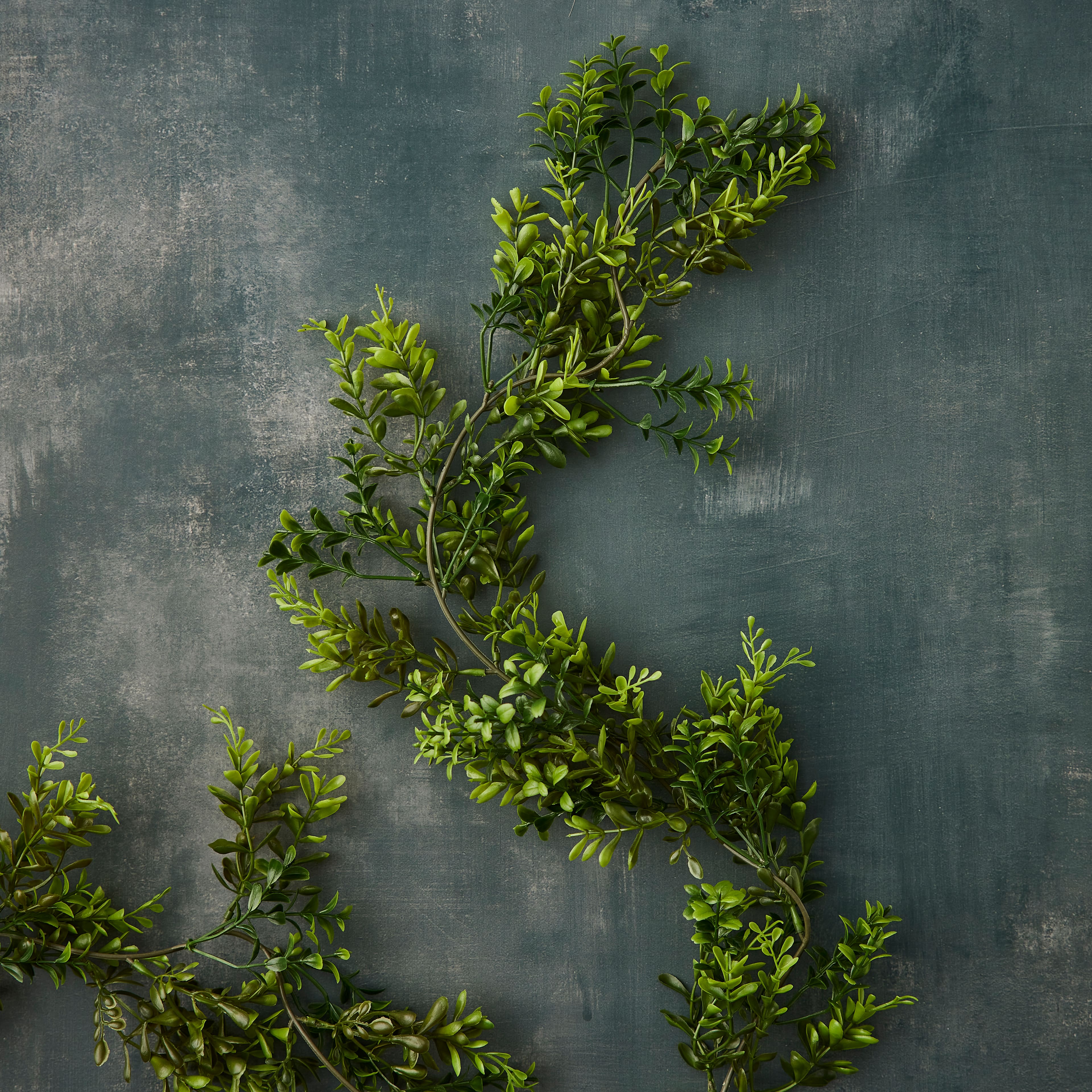 8 Pack: 6ft. Dark Green Boxwood Garland by Ashland®