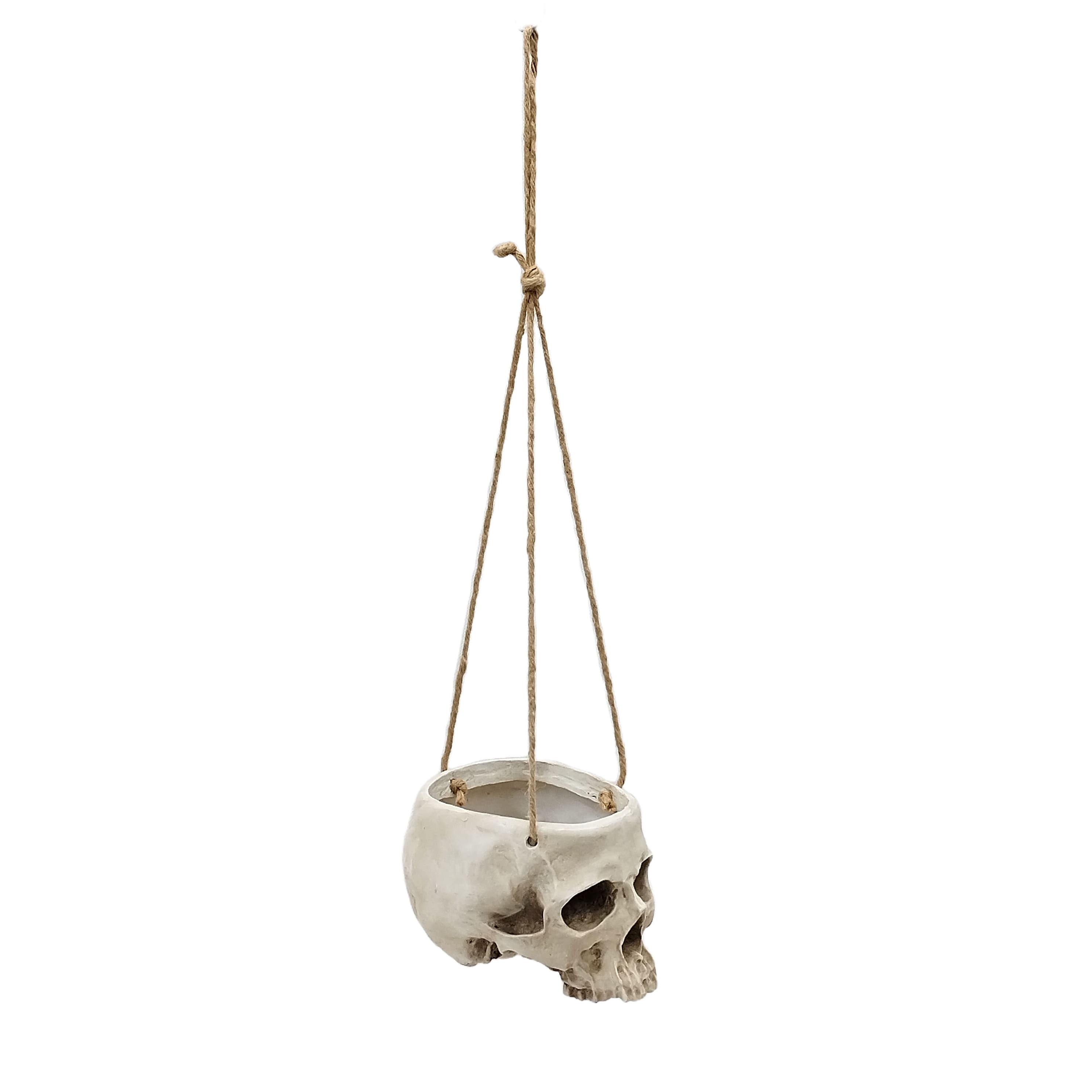 Skull Hanging Container by Ashland