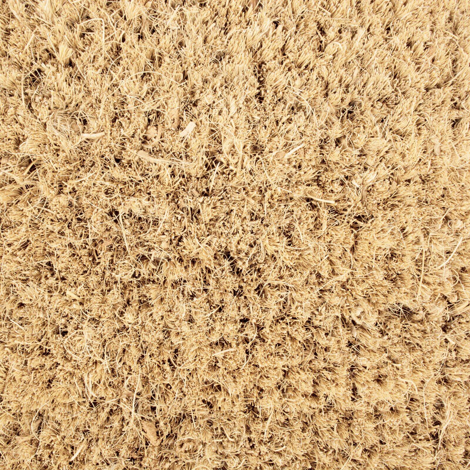 DII® Hello/Goodbye Doormat