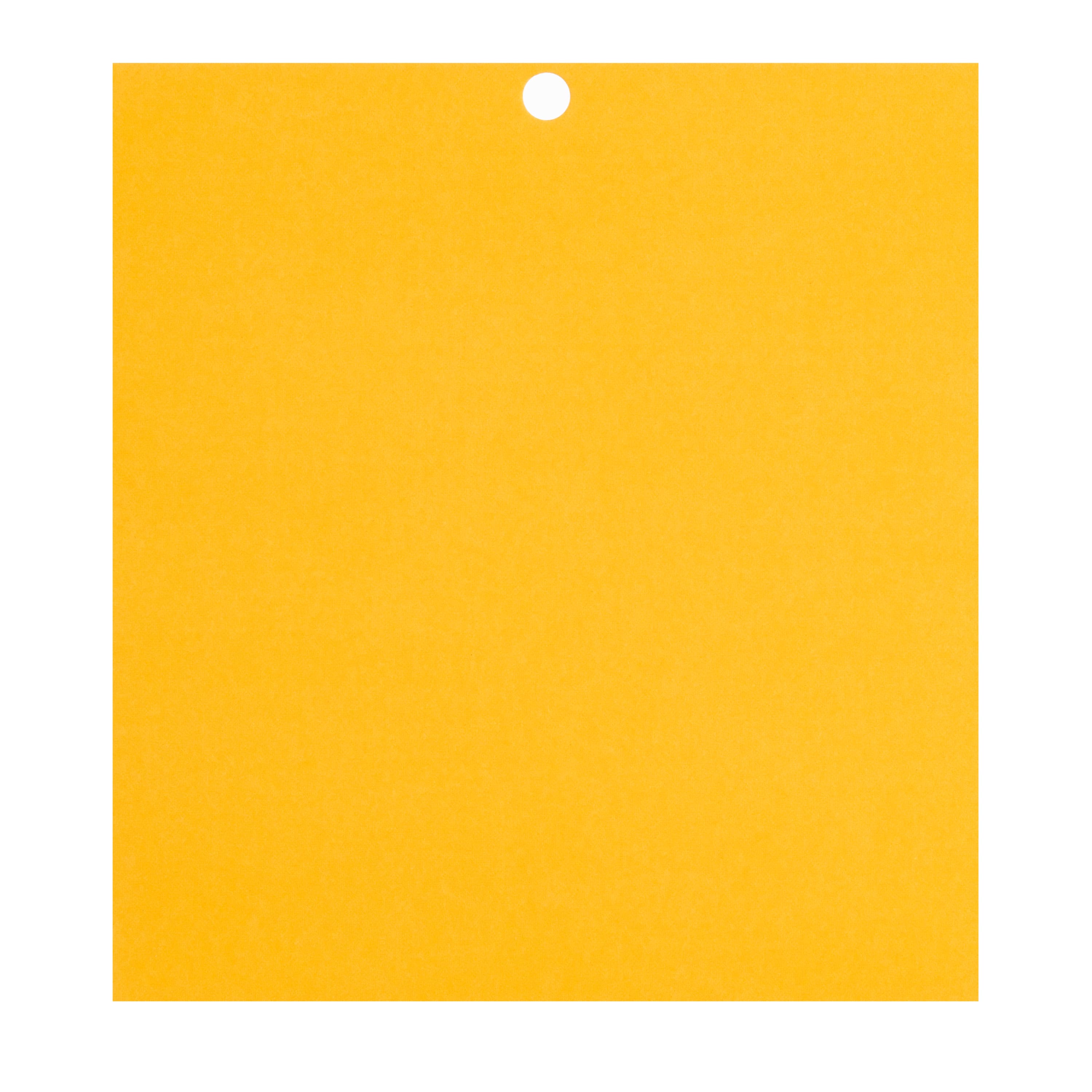 12 Packs: 100 ct. (1,200 total) Citrus 6" x 6.5" Cardstock Paper by Recollections™