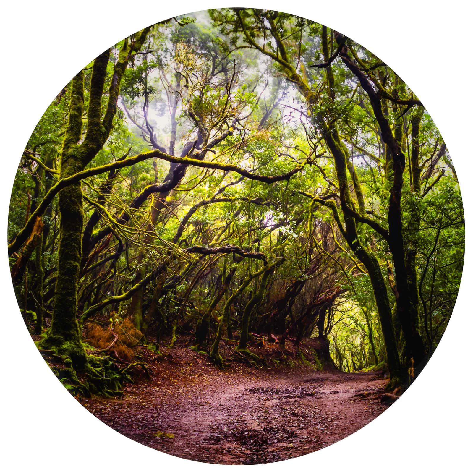 TickiT® 24.5" Forest Discovery Play Mat