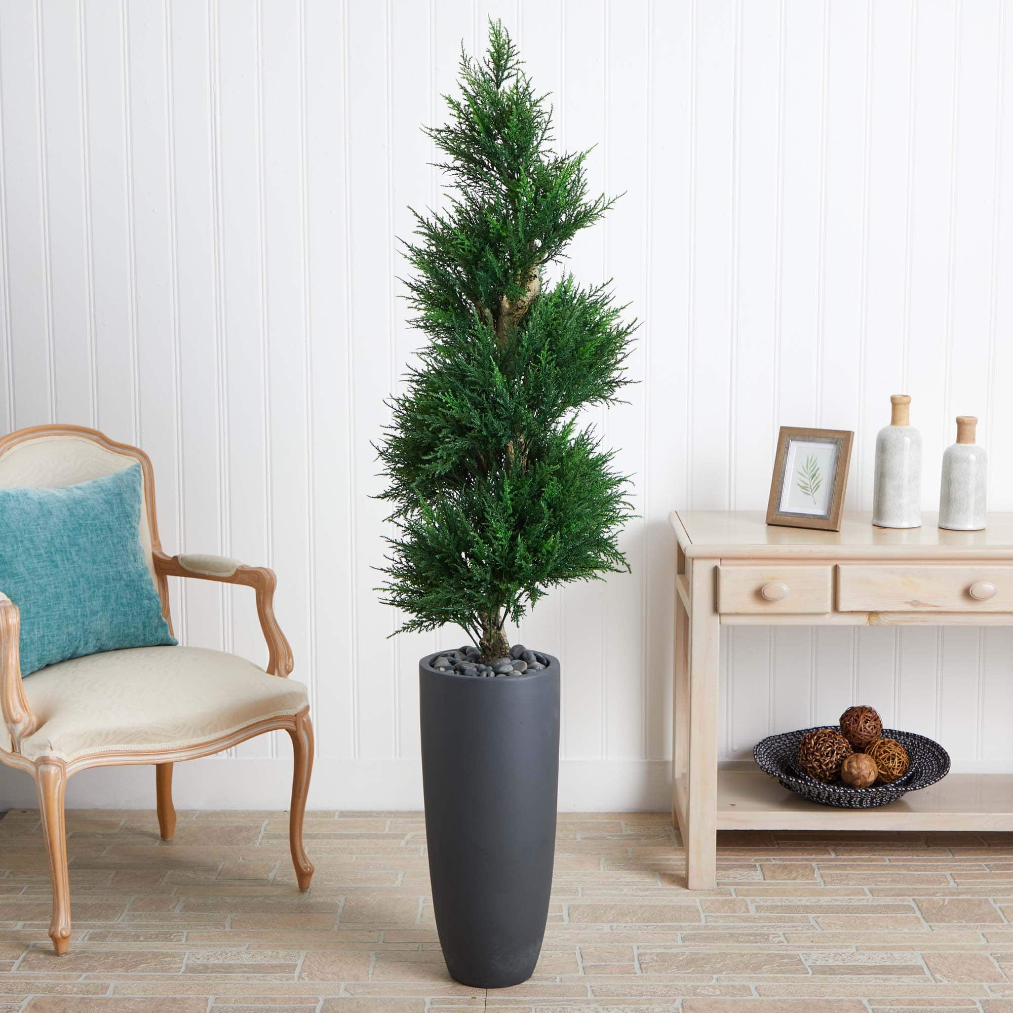 6ft. Spiral Cypress Tree in Cylinder Planter