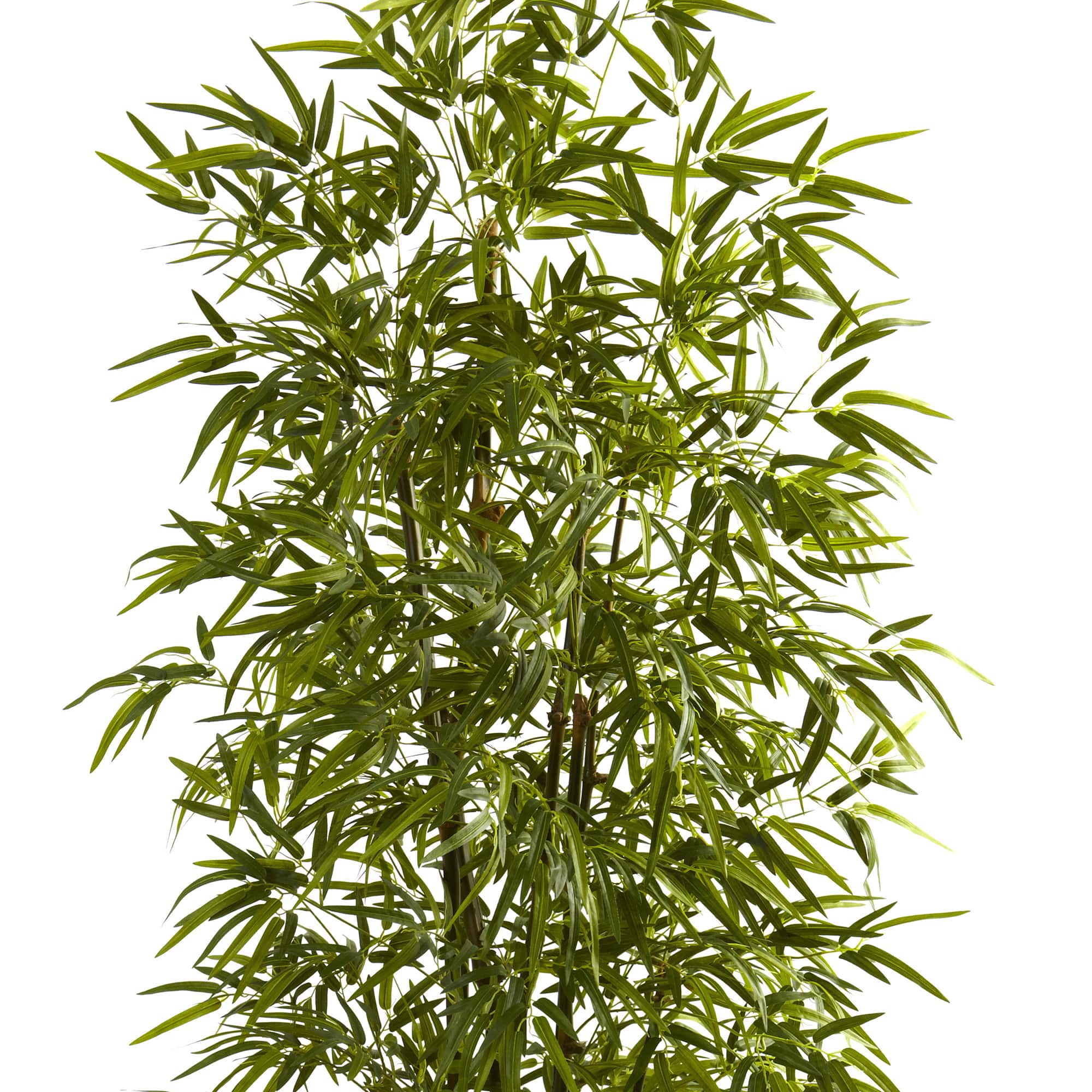 7ft. Potted Green Bamboo Tree