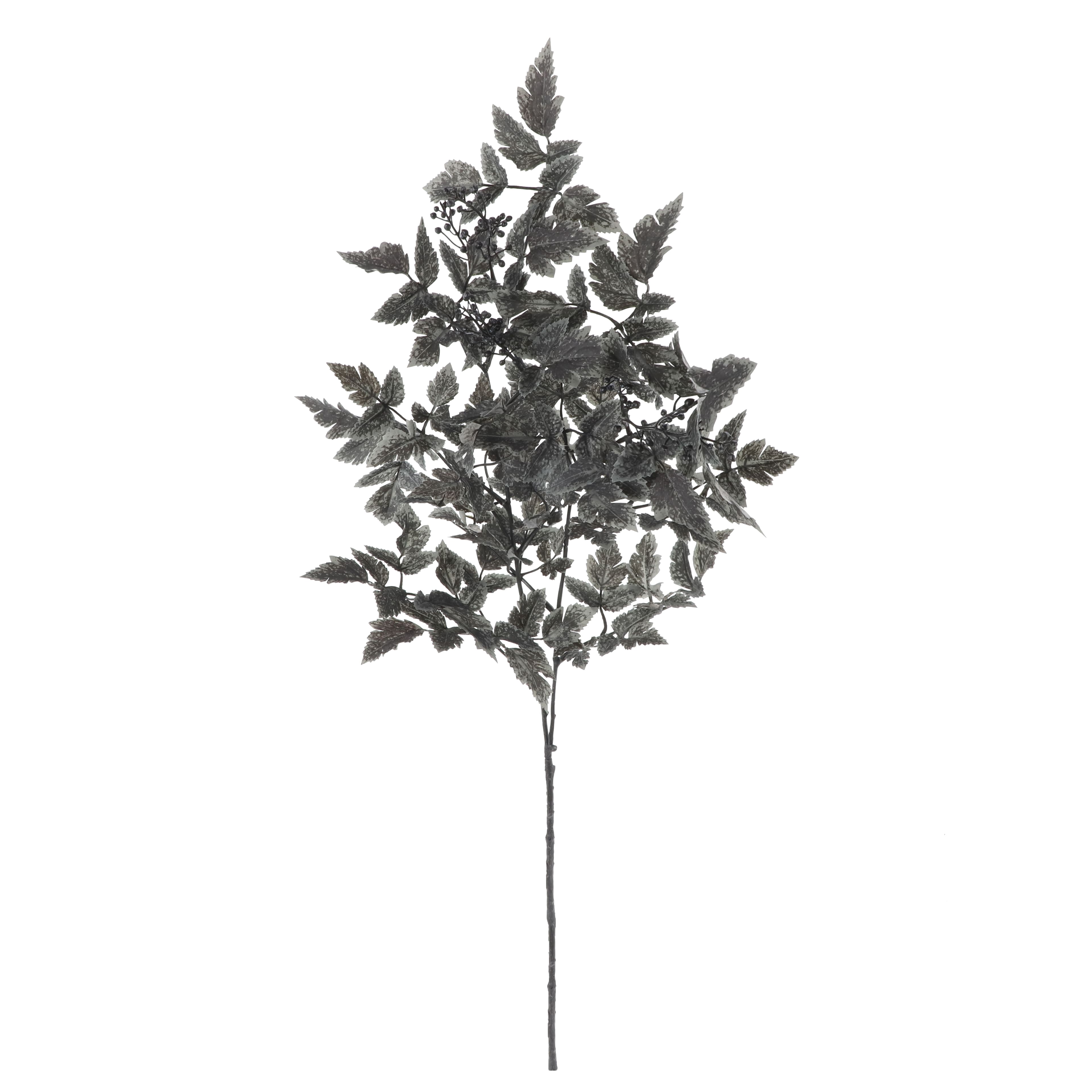 35" Black Cimicifuga Leaf Stem by Ashland®