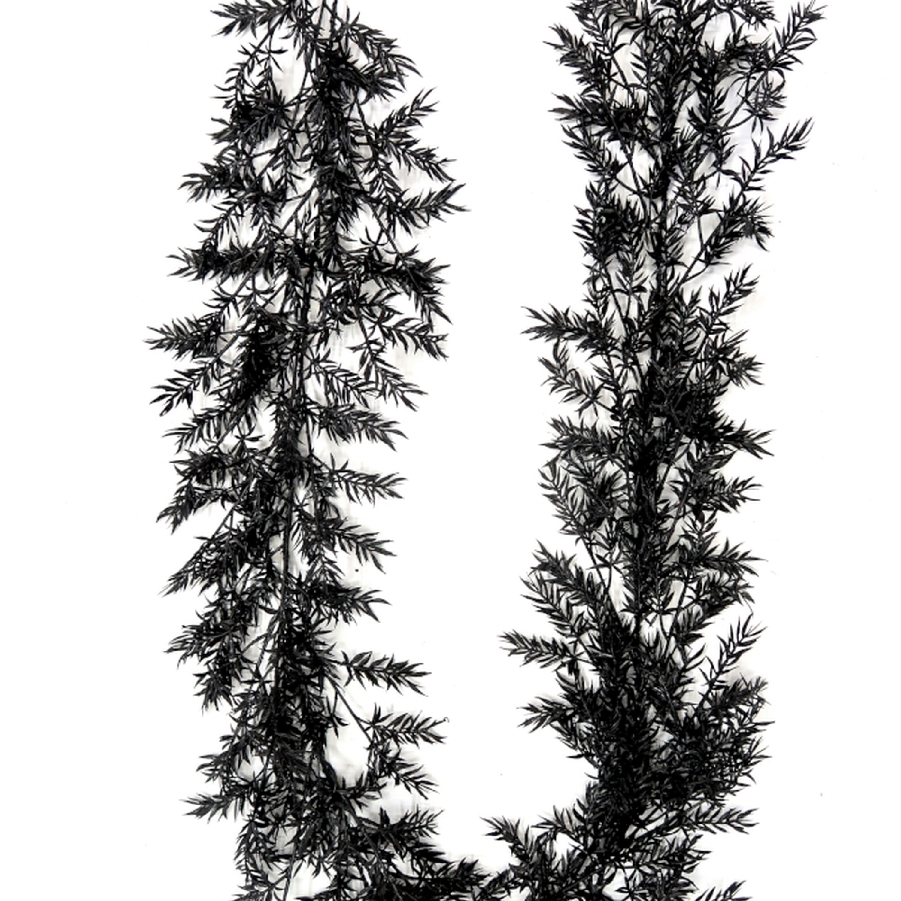 6ft. Black Cedar Pine Garland by Ashland®