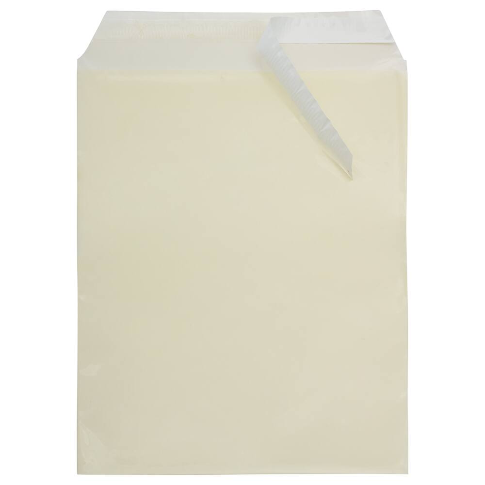 JAM Paper 8.93" x 11.25" Self Adhesive Closure Cello Sleeves