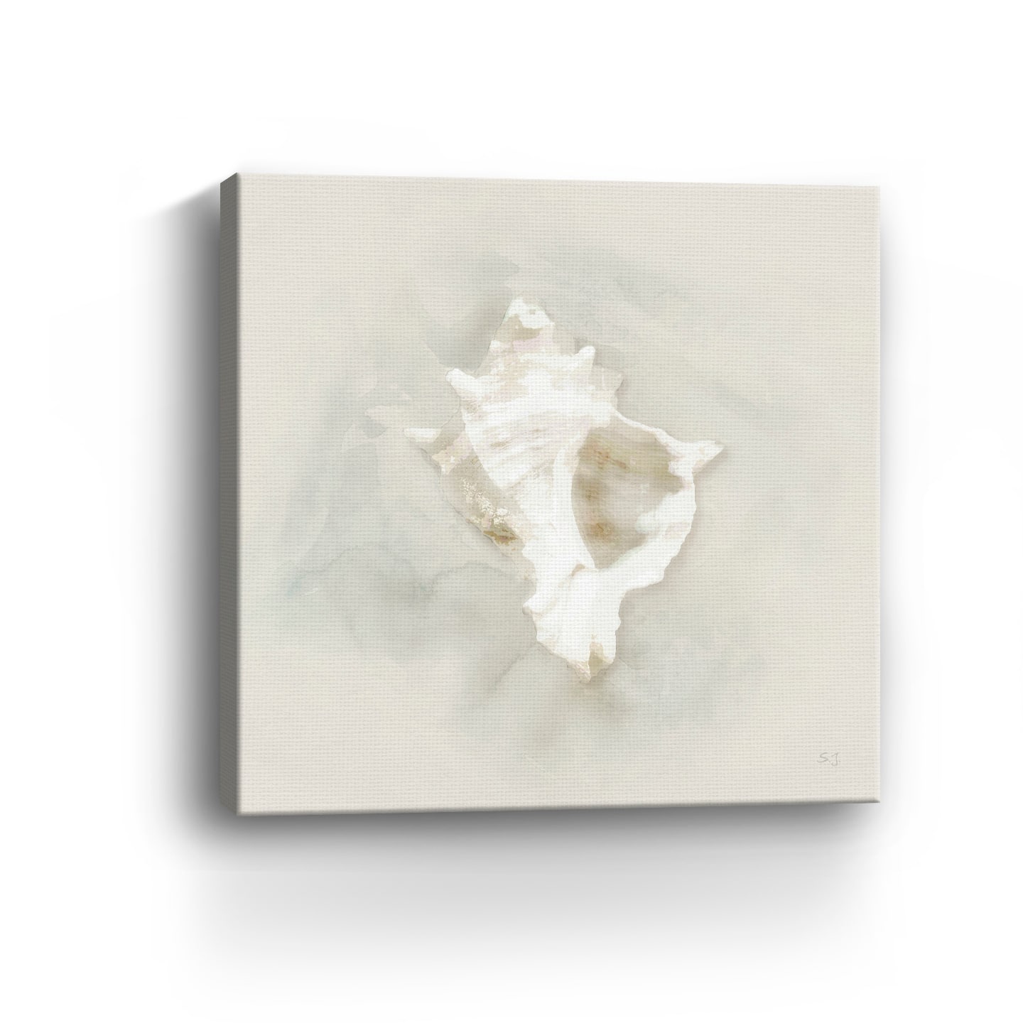 Soft Sand and Shell I Canvas Giclee