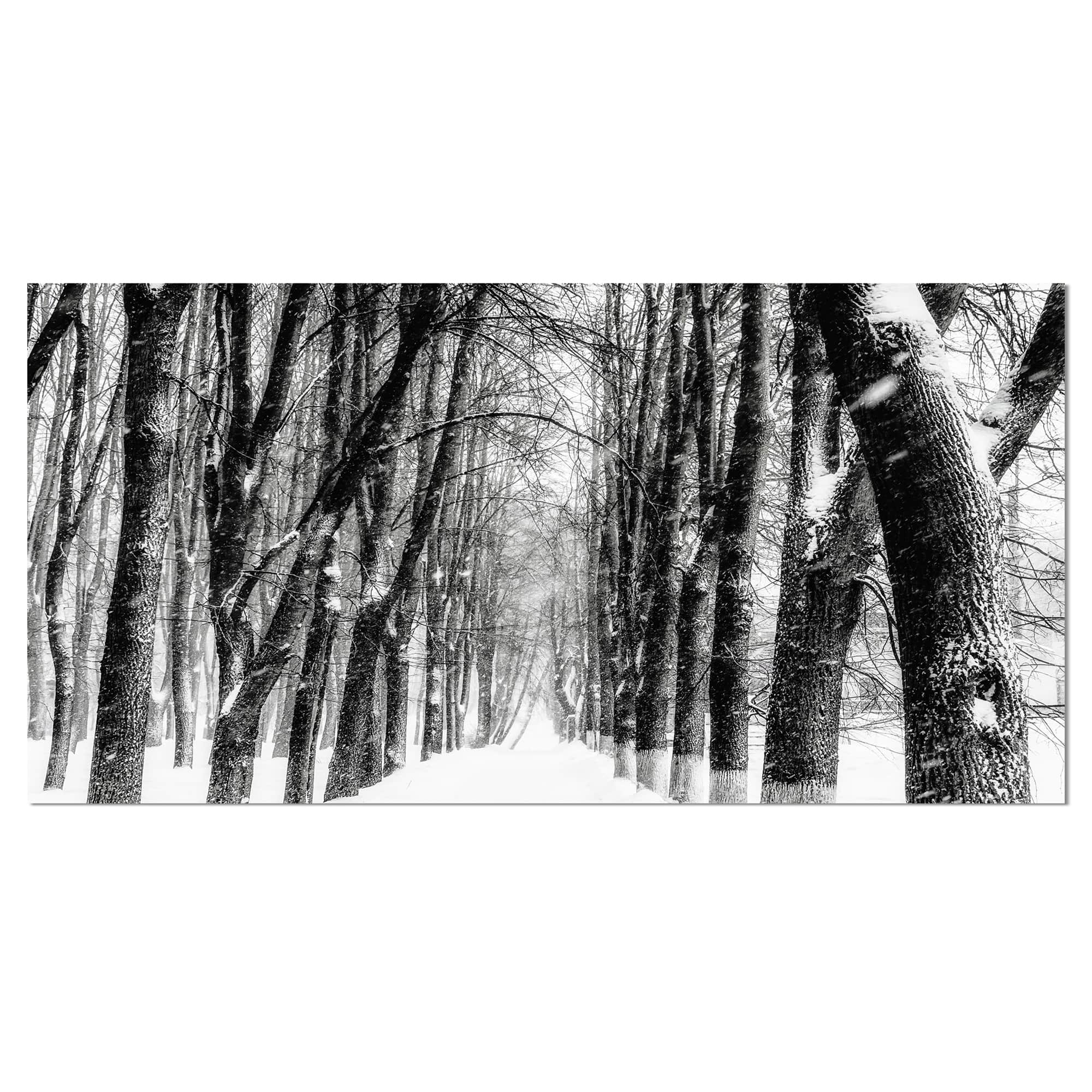Designart - Snowy Forest Black and White - Modern Forest Canvas Art