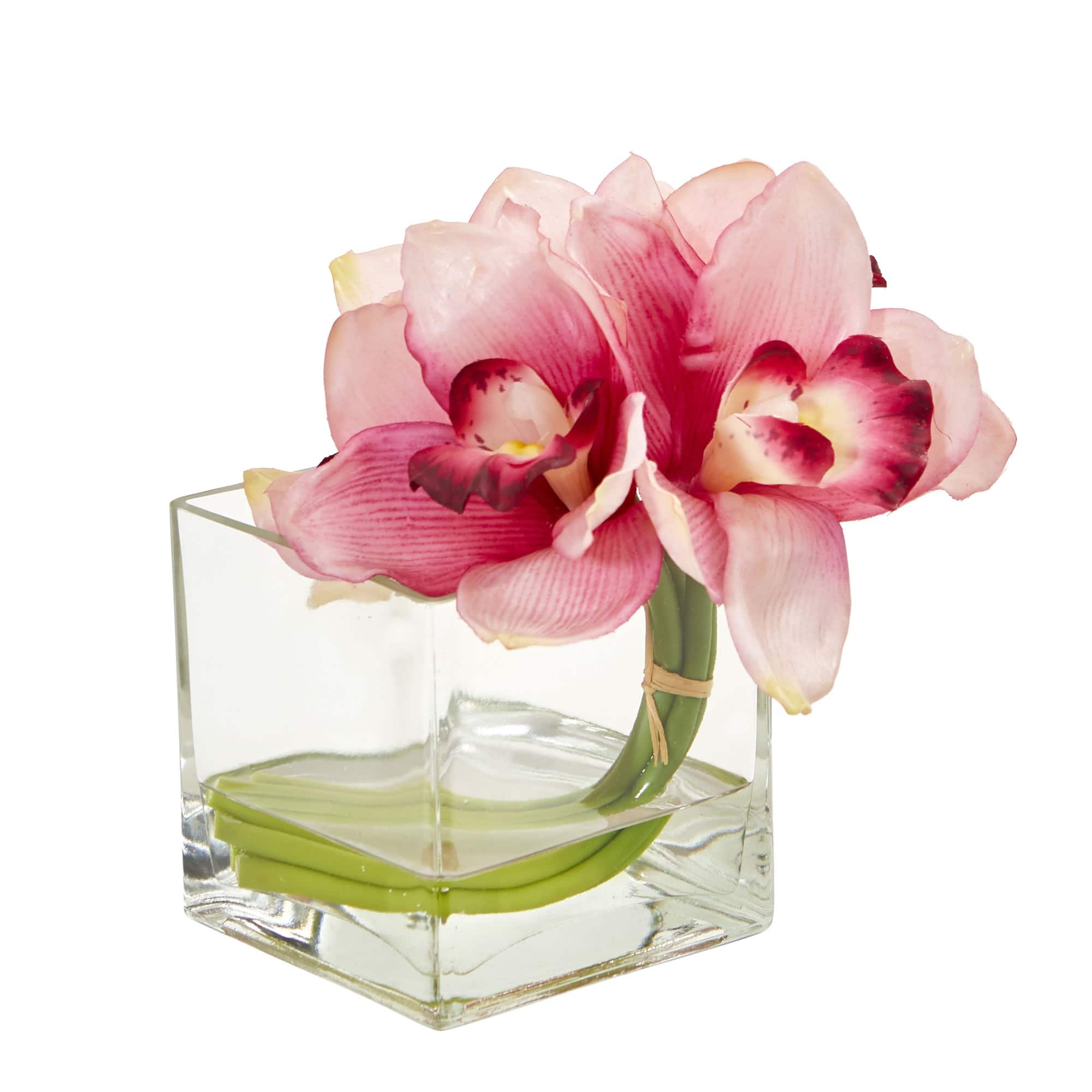 8" Boat Orchid Arrangement in Glass Vase, 2ct.