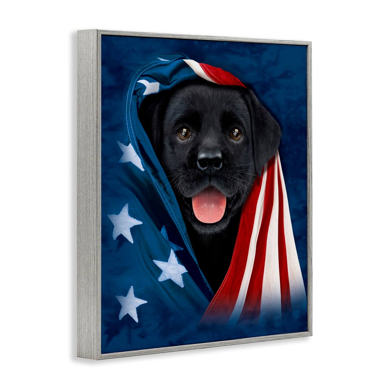 Stupell Industries Labrador & American Flag Framed Giclee Art