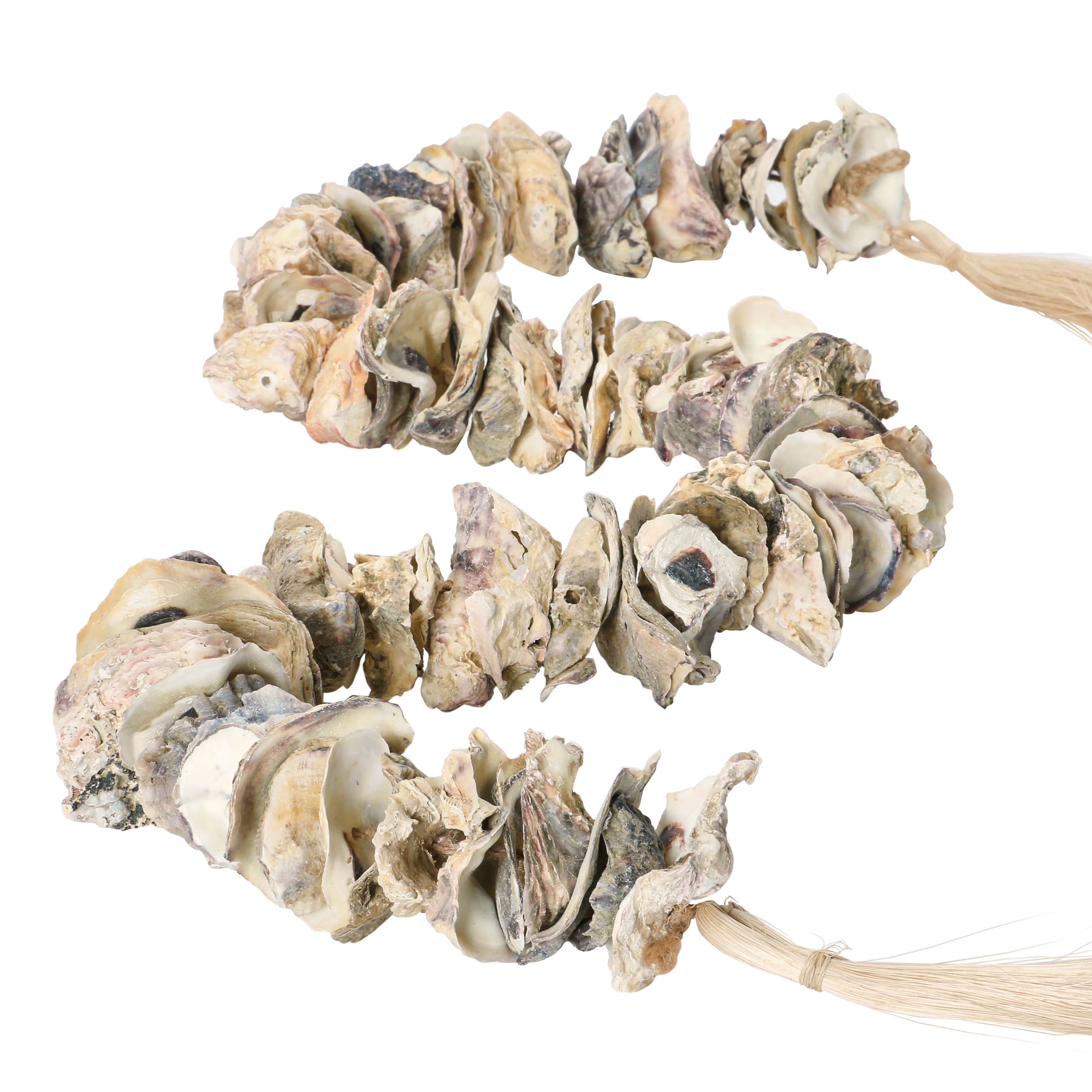 Hello Honey® 4ft. Oyster Shell Garland with Raffia Tassels