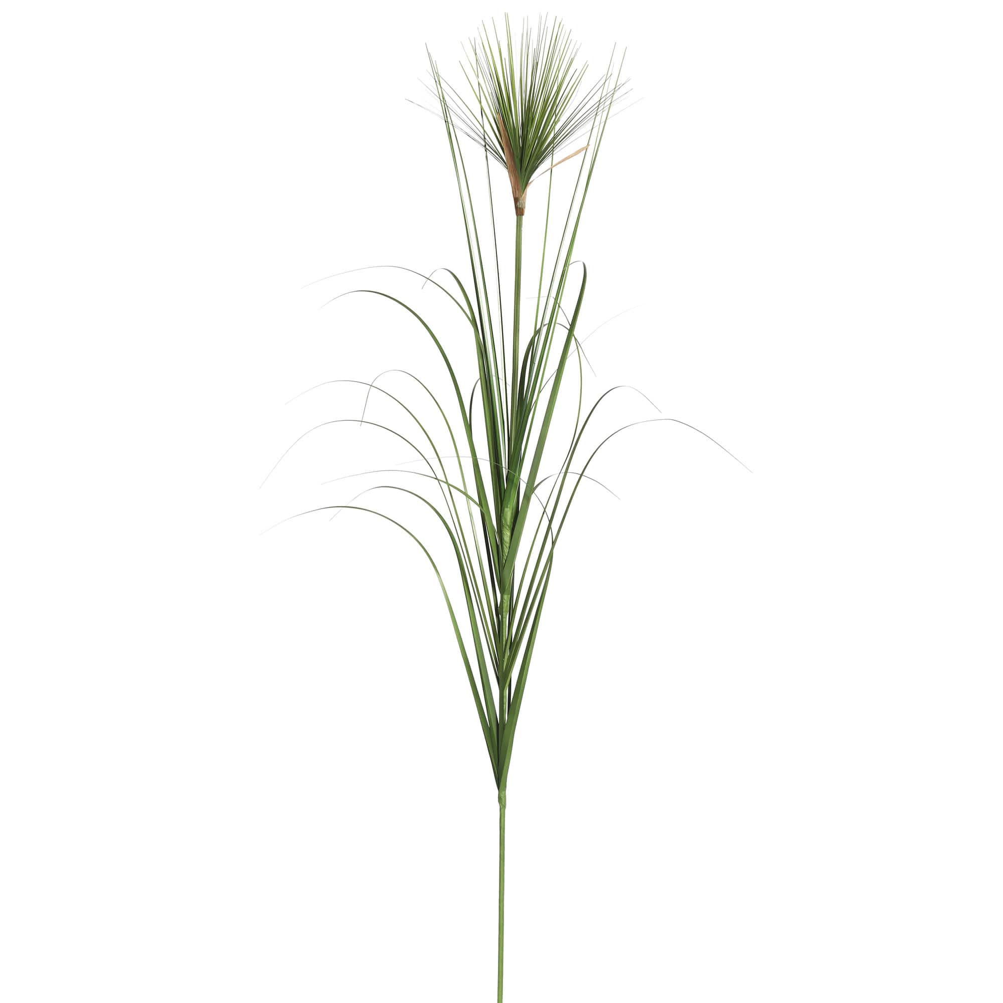 6 Pack: Green Mixed Grass Spray