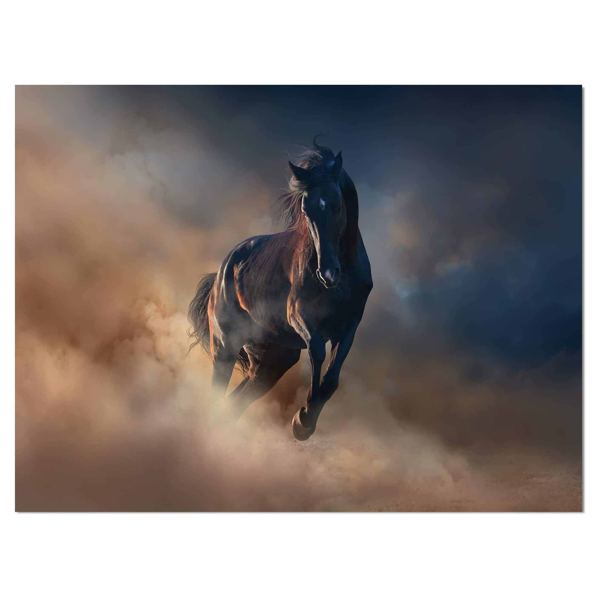Designart - Black stallion horse