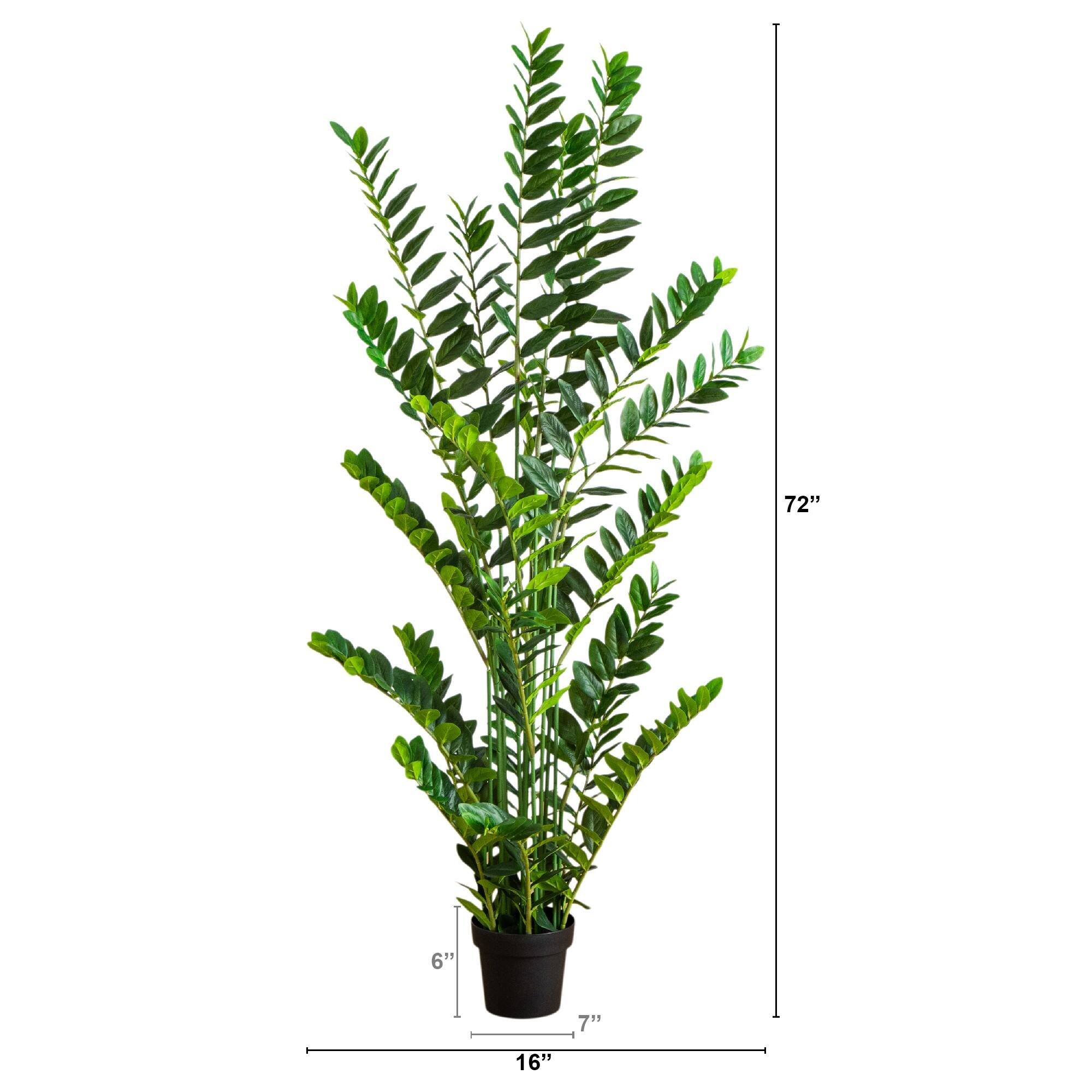 6ft. Artificial Zamioculcas Plant