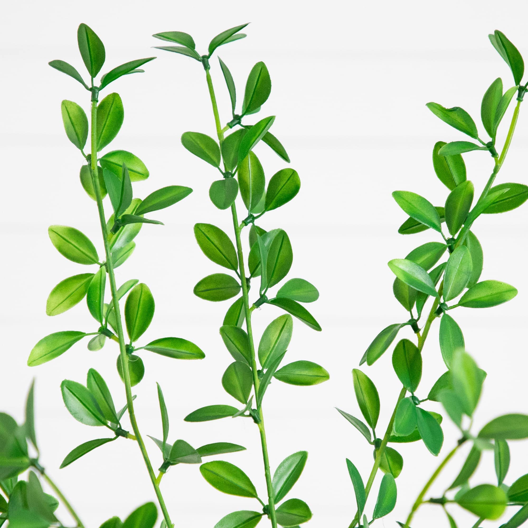 6ft. Artificial Shady Lady Black Olive Tree