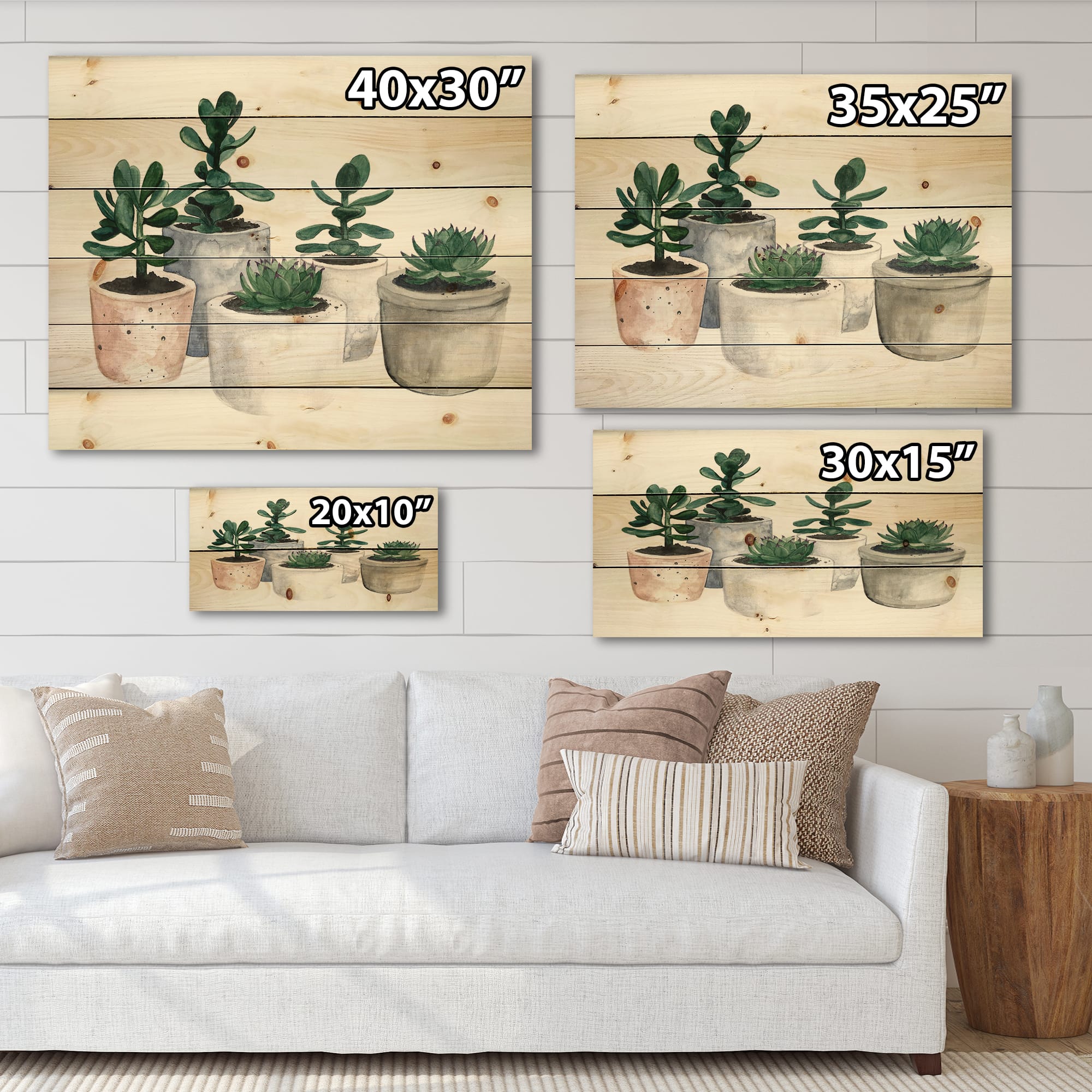 Designart - Cactus and Succulent House Plants VI - Botanical Print on Natural Pine Wood