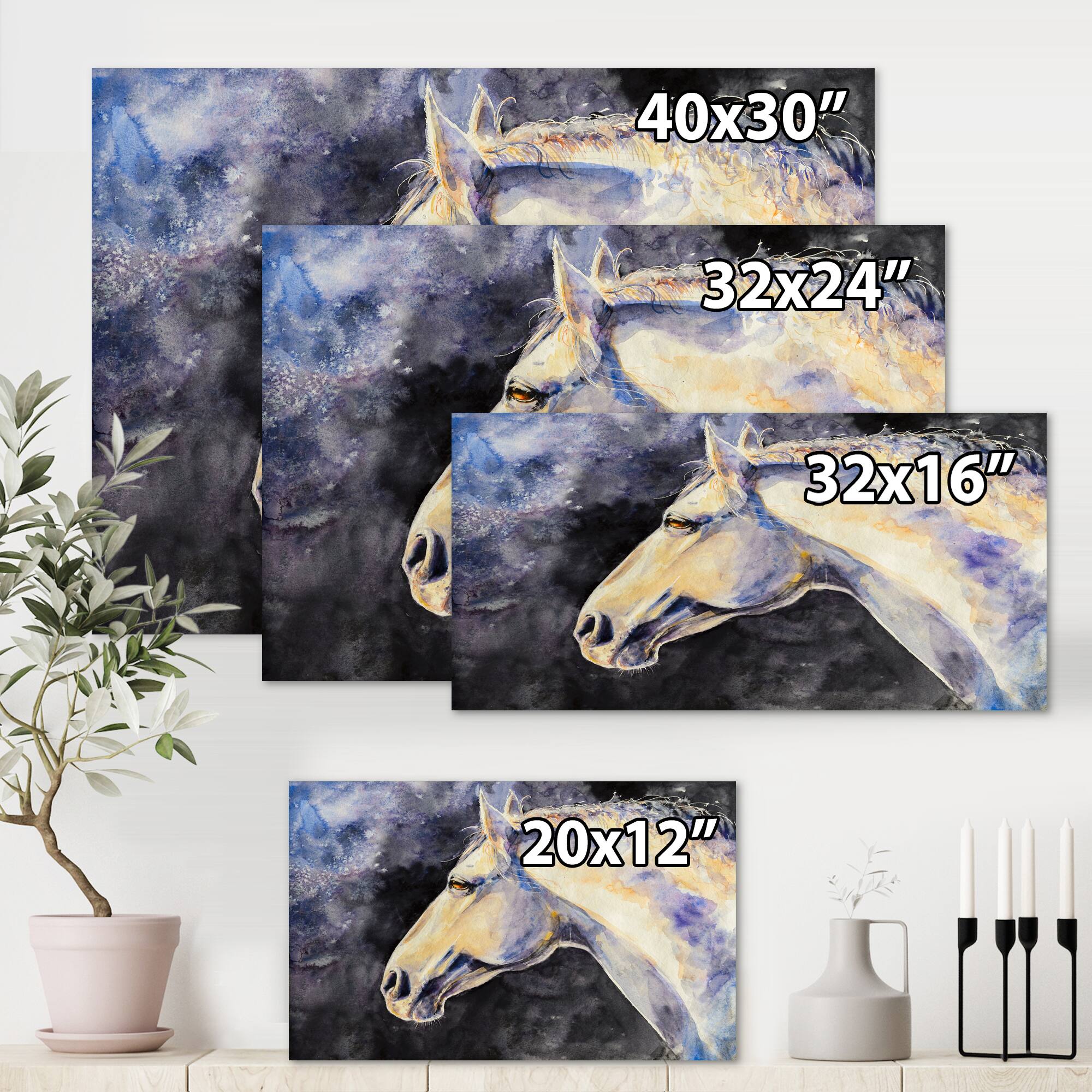 Designart - The Head of A Lipizzan Horse