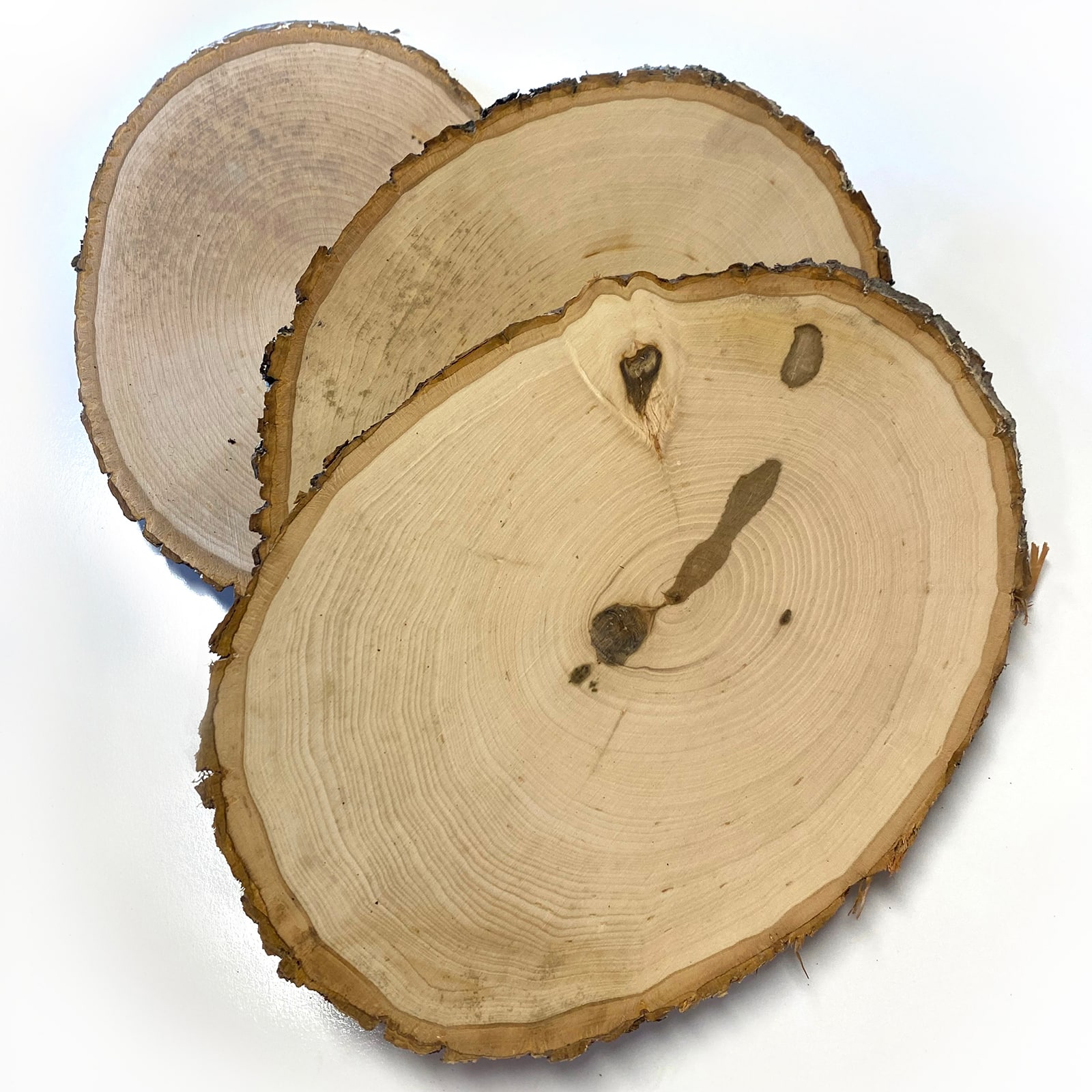 Wilson® Enterprises 30 Pack Medium Basswood Plaque Seconds