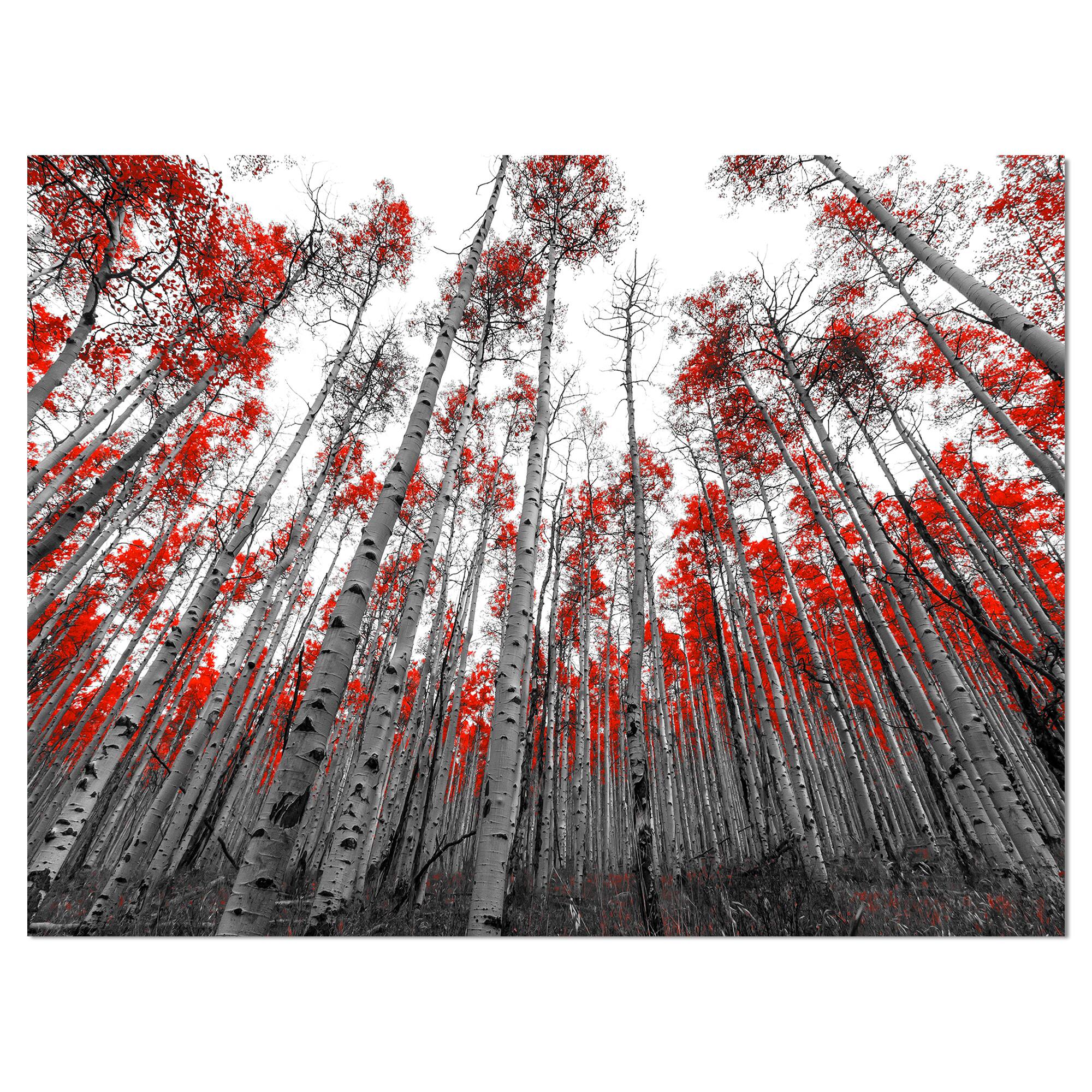 Designart - Red Leaf Trees in Tall Forest