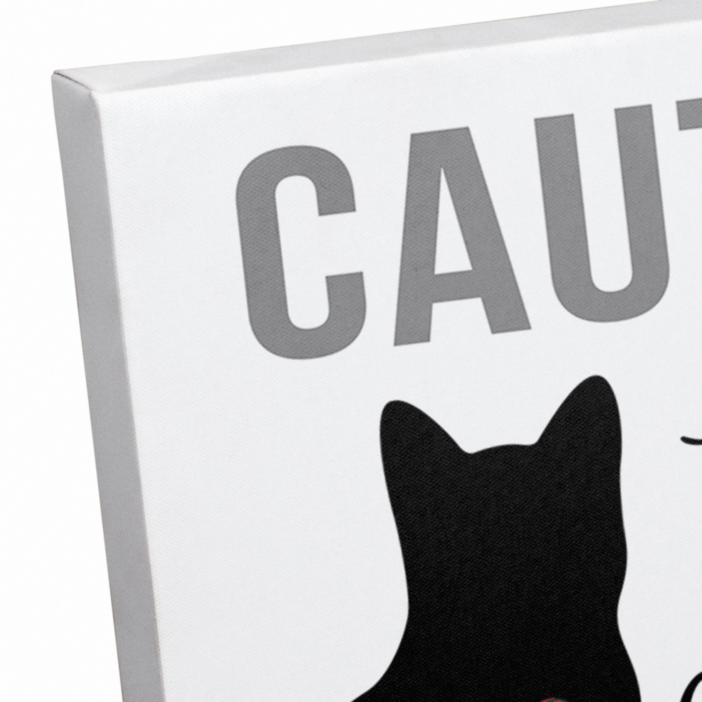 Caution Cat Snuggles Canvas Wall Art