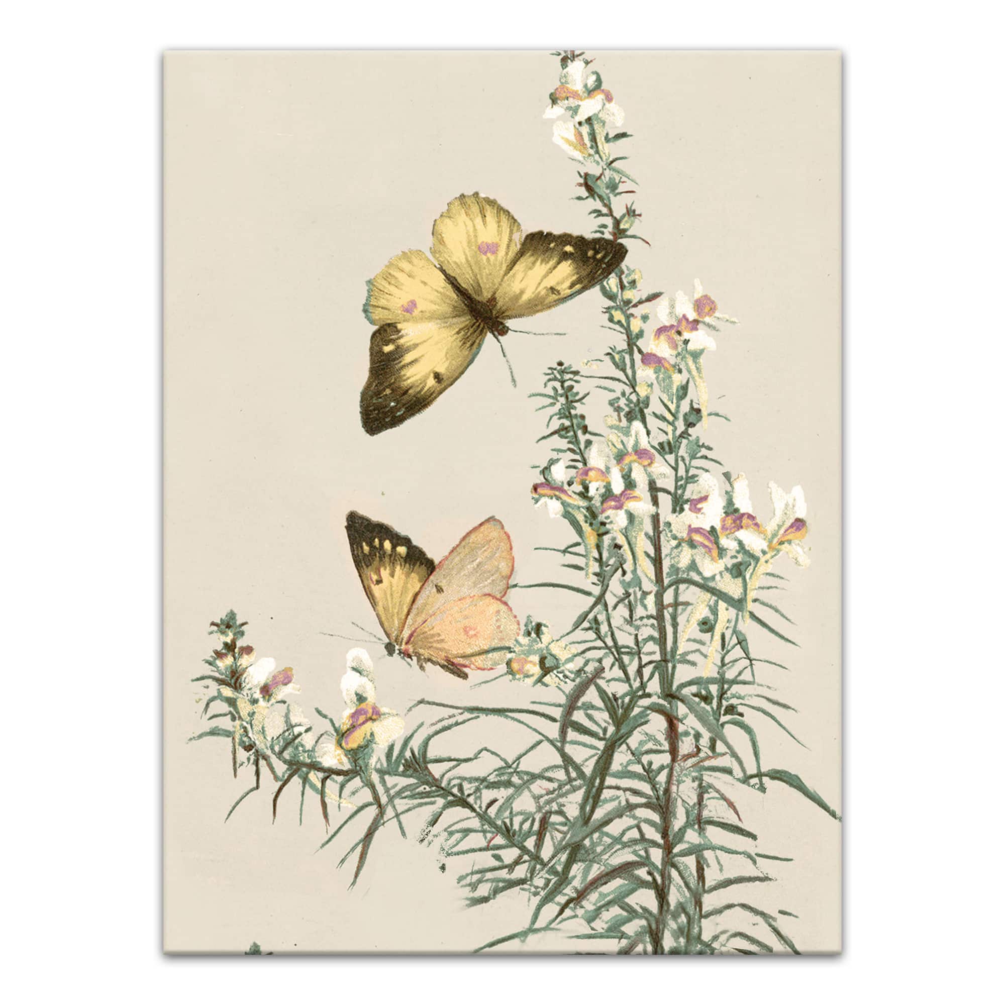 Butterflies In Sage 12" x 16" Canvas Wall Art
