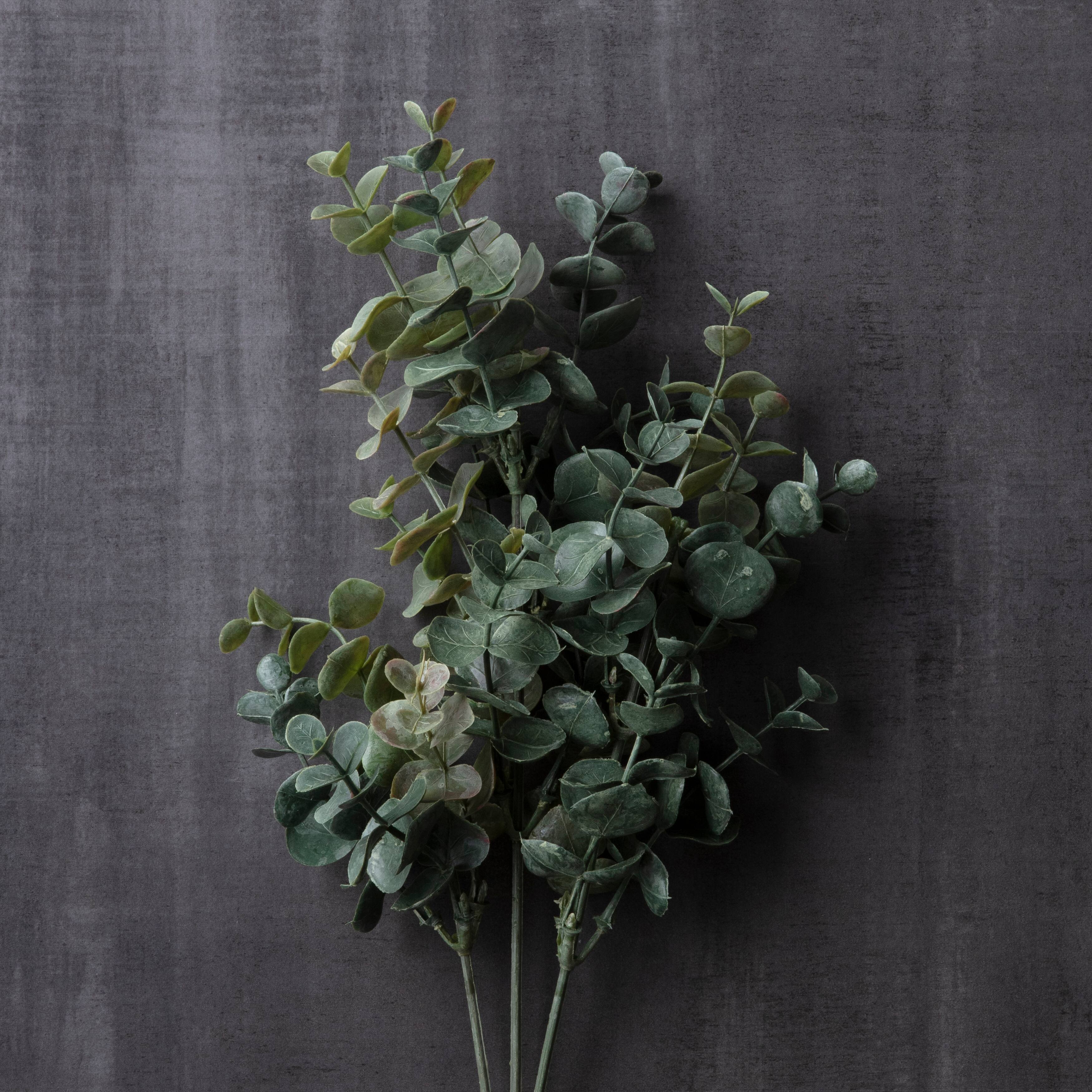 12 Pack: Green Eucalyptus Stem by Ashland®