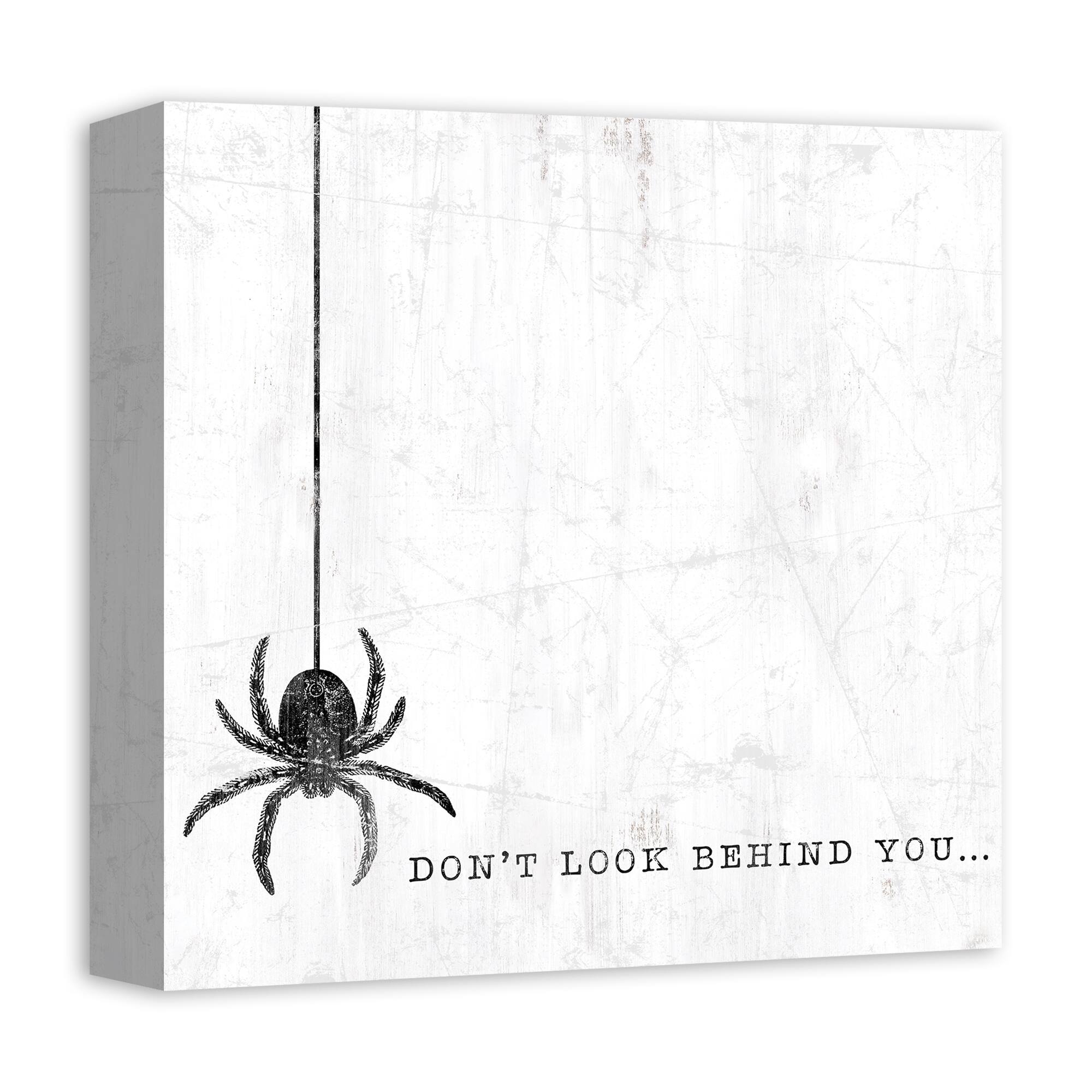 Don't Look Behind You Spider Canvas Wall Art