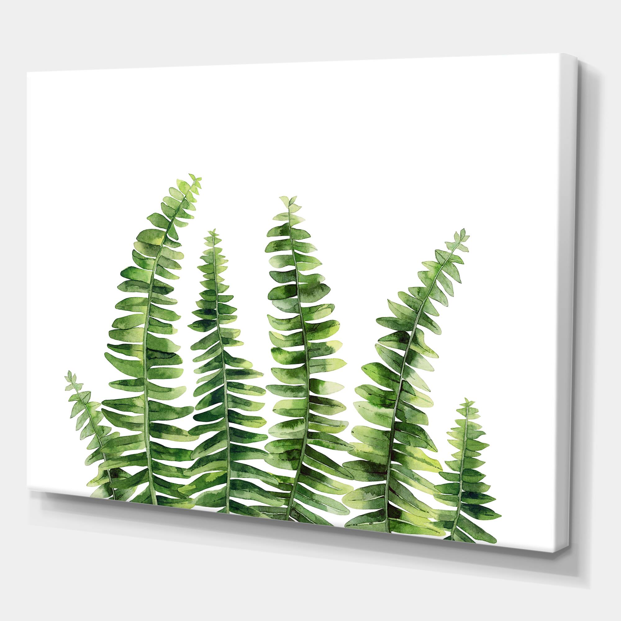 Designart - Fern Leaves Detail II
