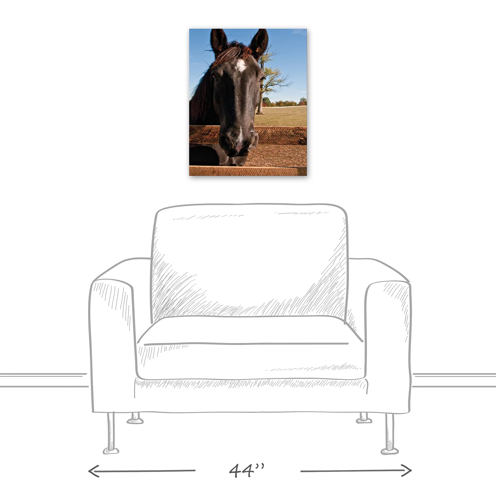 Horse Head 16" x 20" Canvas Wall Art