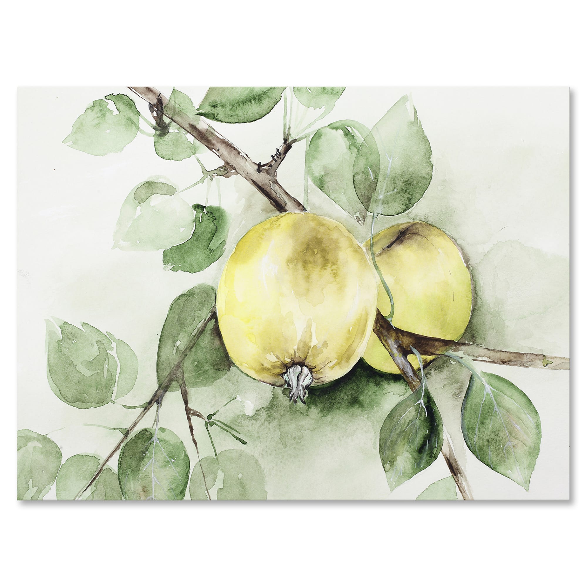 Designart - Vintage Green Appels - Farmhouse Canvas Wall Art Print